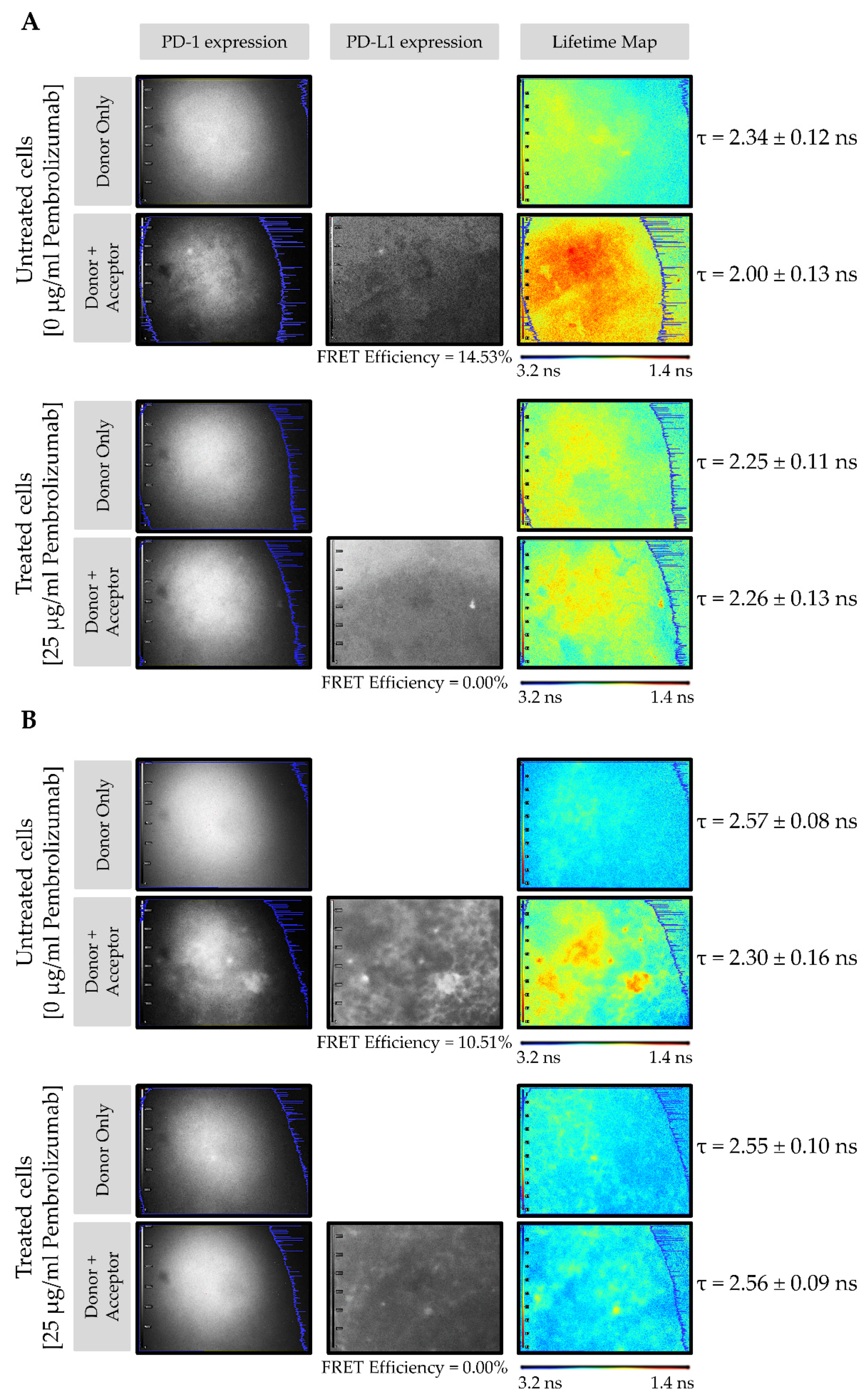 Analytica 02 00015 g003