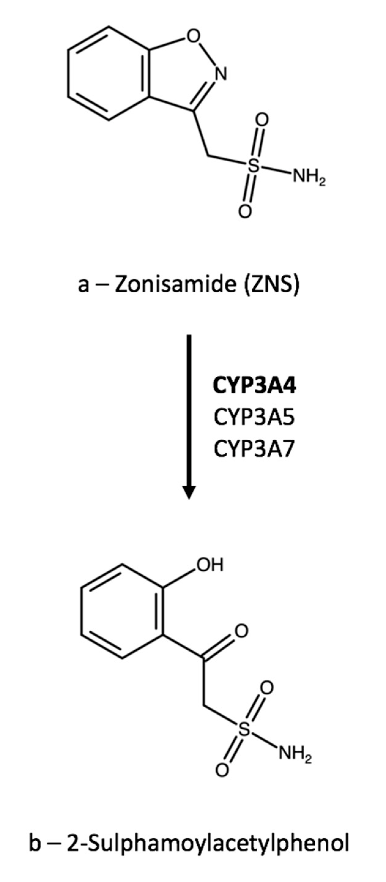 Zonisamide off label uses
