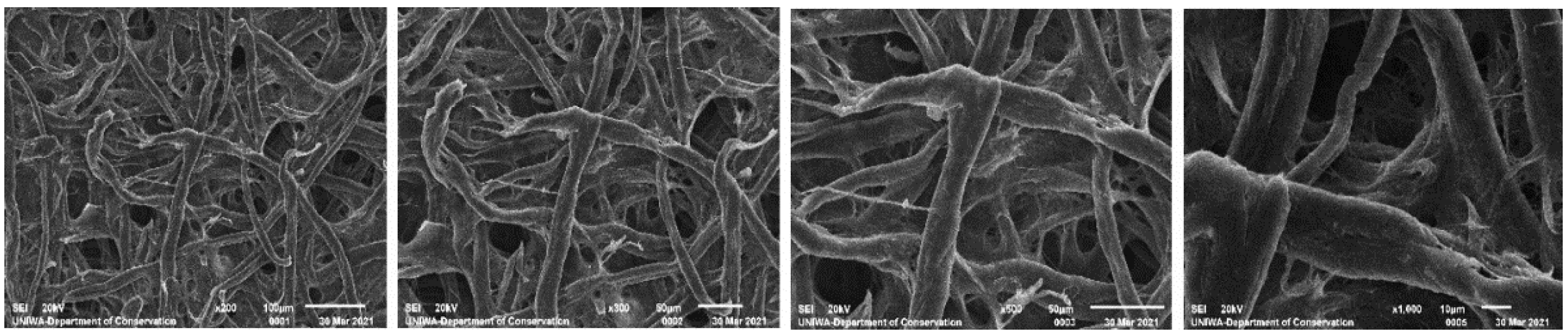 Analytica 03 00009 g005