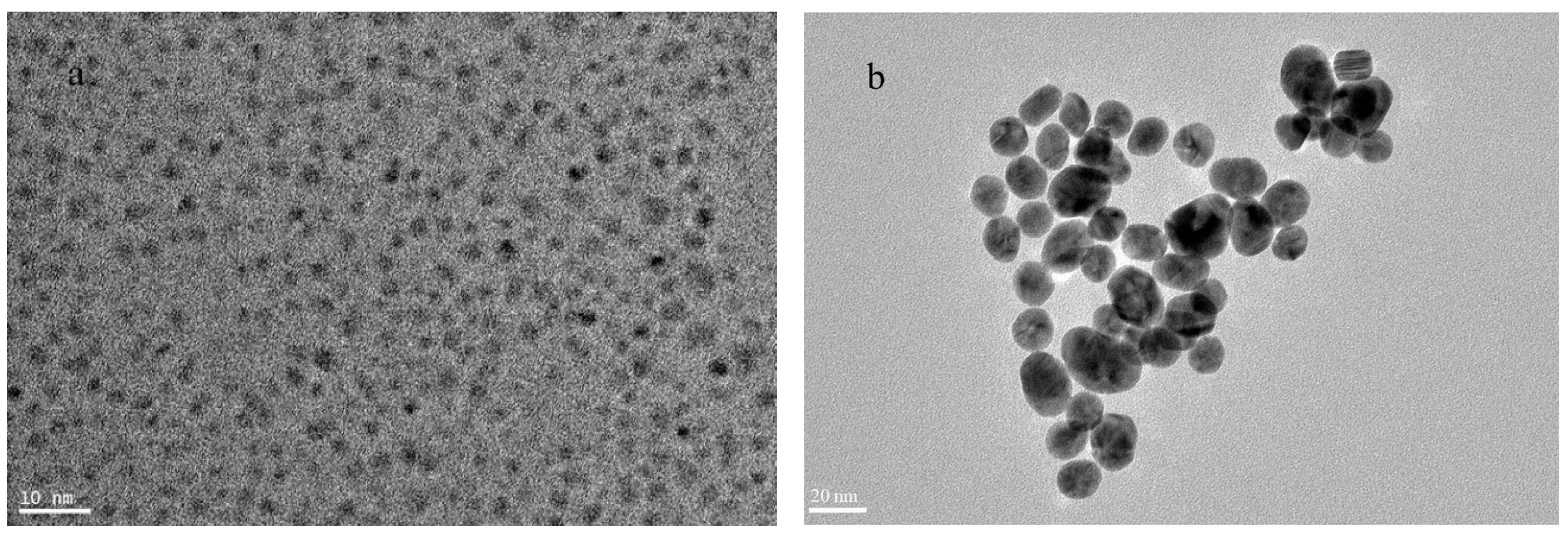Analytica 03 00026 g001