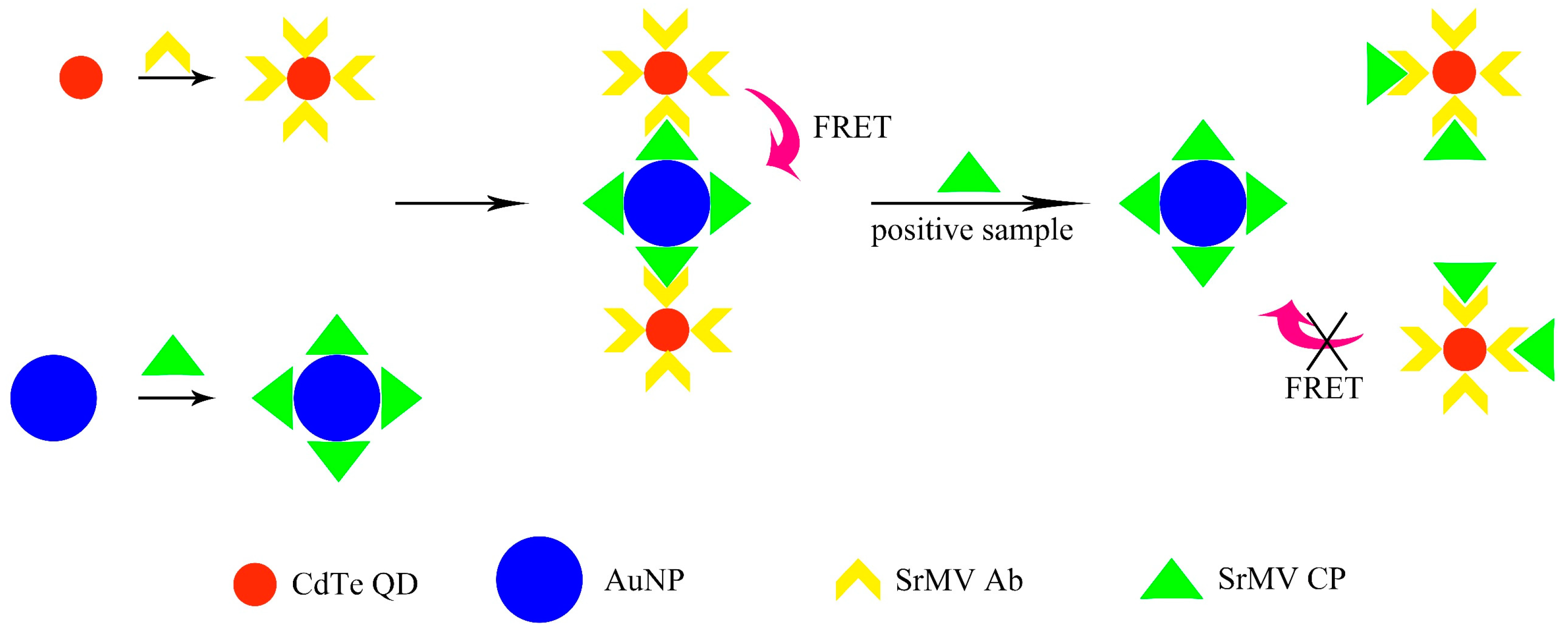 Analytica 03 00026 sch001