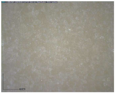 Analytica 03 00028 i006