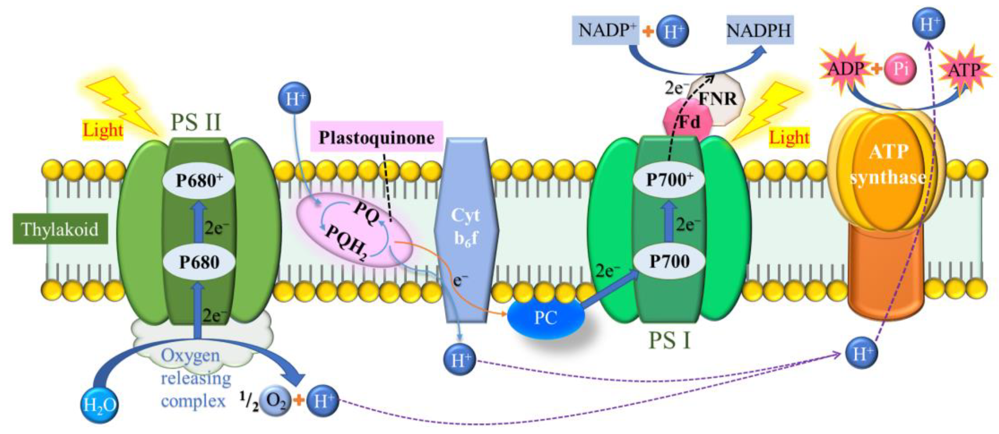 Analytica 04 00009 g004 Analytica 04 00009 g004