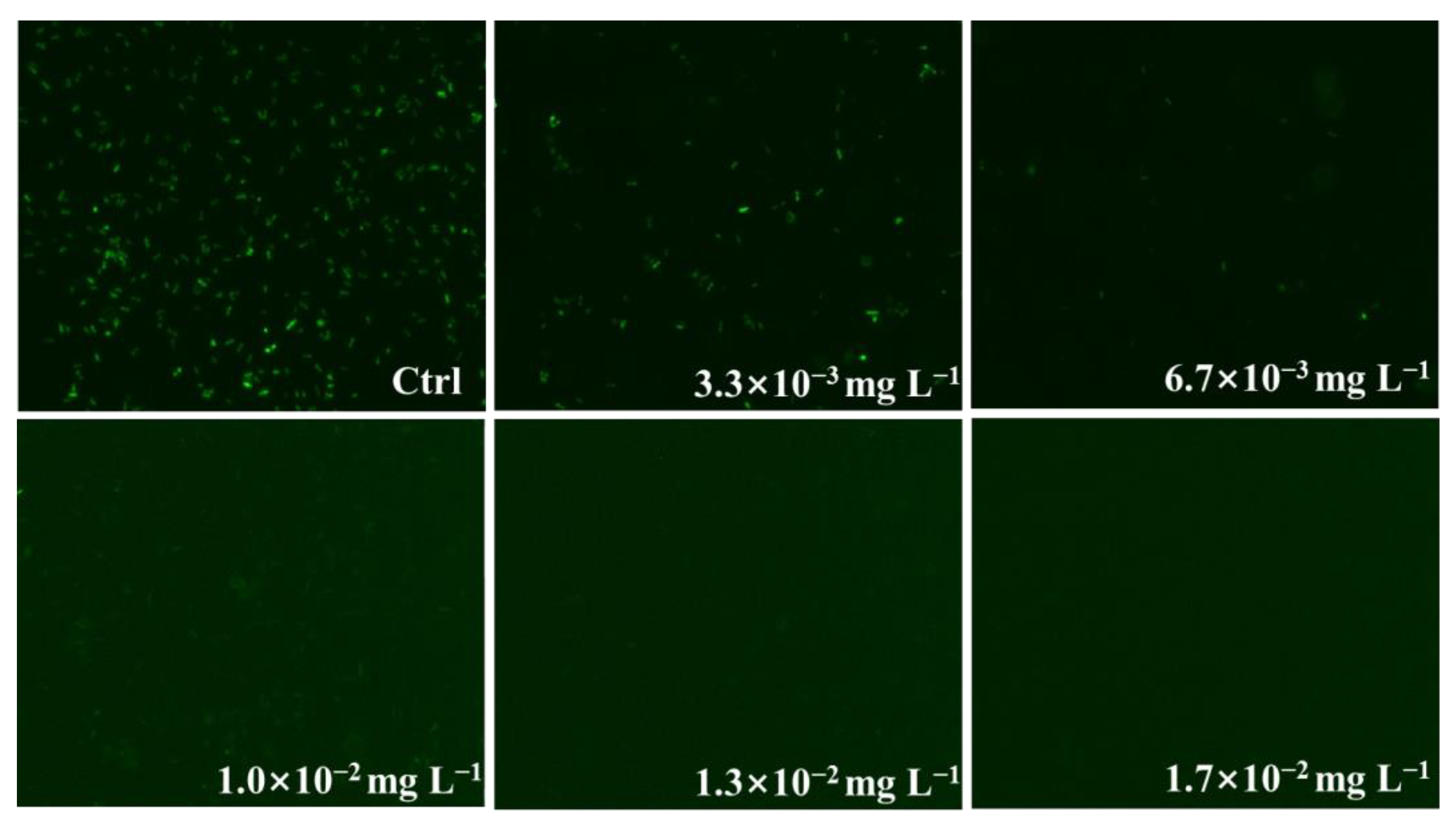 Analytica 04 00009 g005 Analytica 04 00009 g005