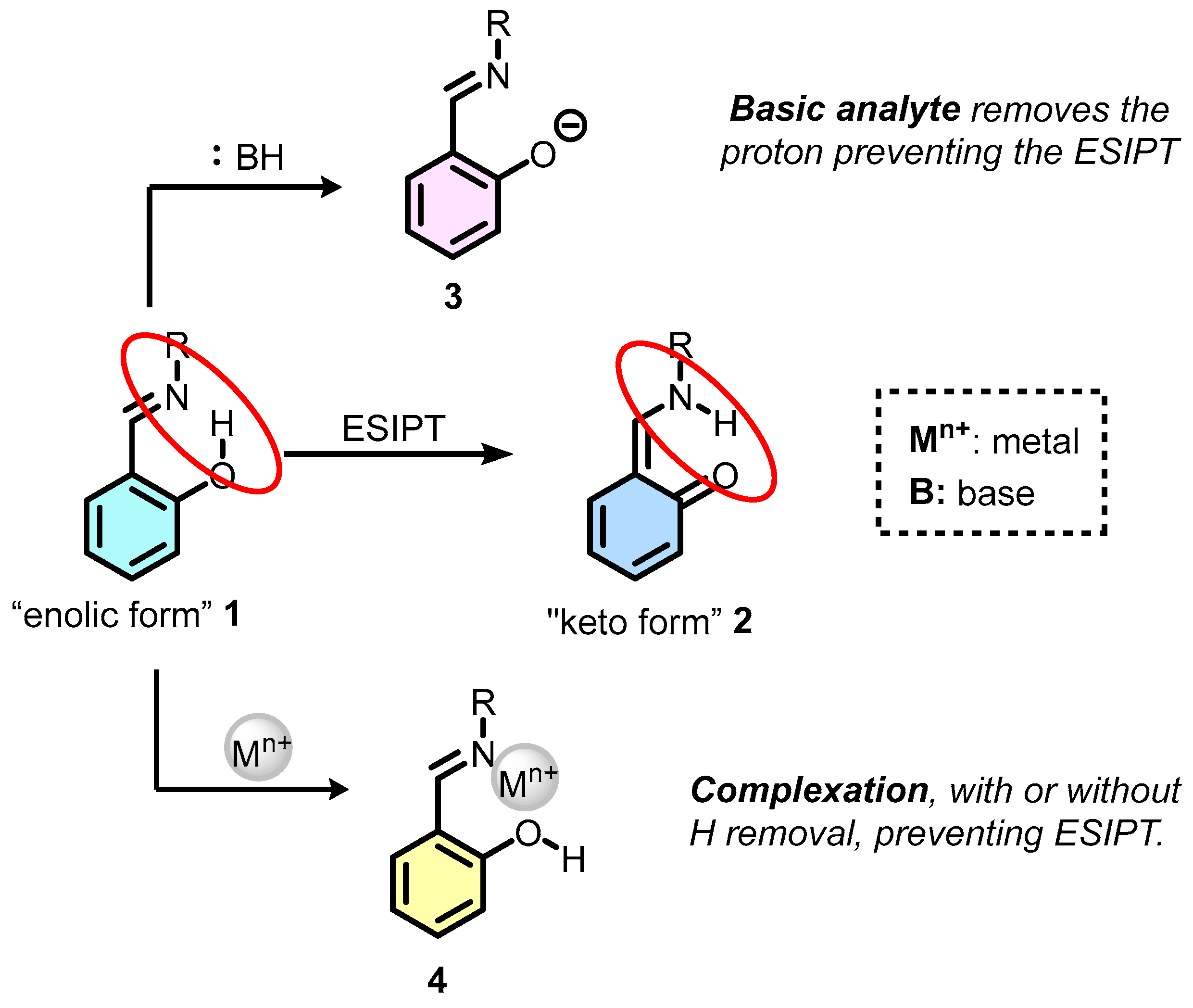 Analytica 04 00033 sch001