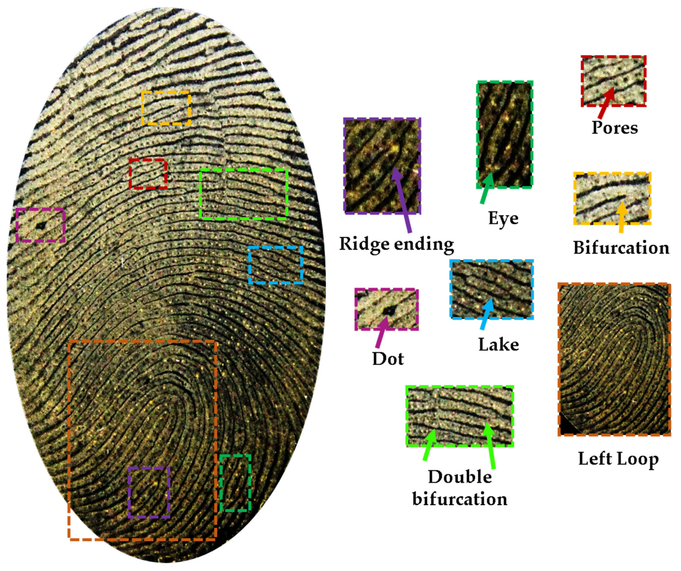 Analytica 05 00007 g006 Analytica 05 00007 g006