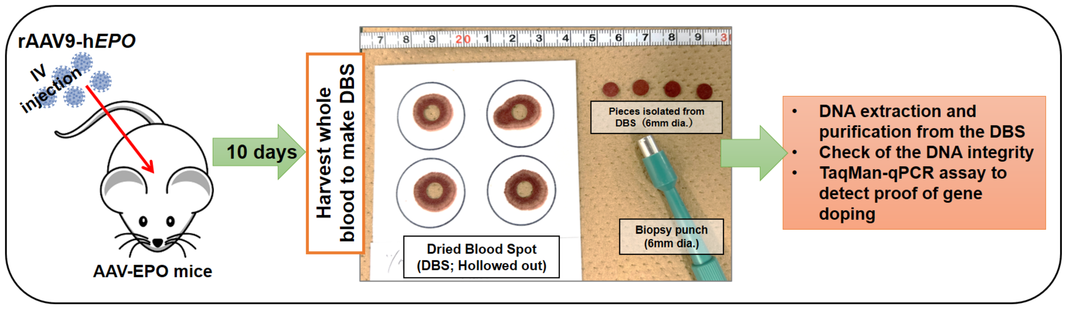 Analytica 05 00017 g001