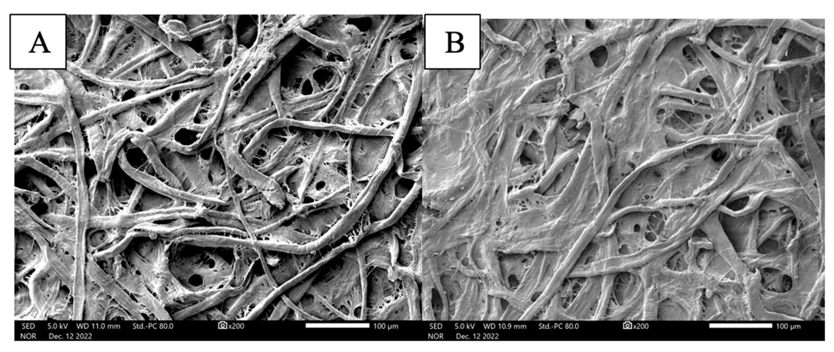 Analytica 05 00019 g004