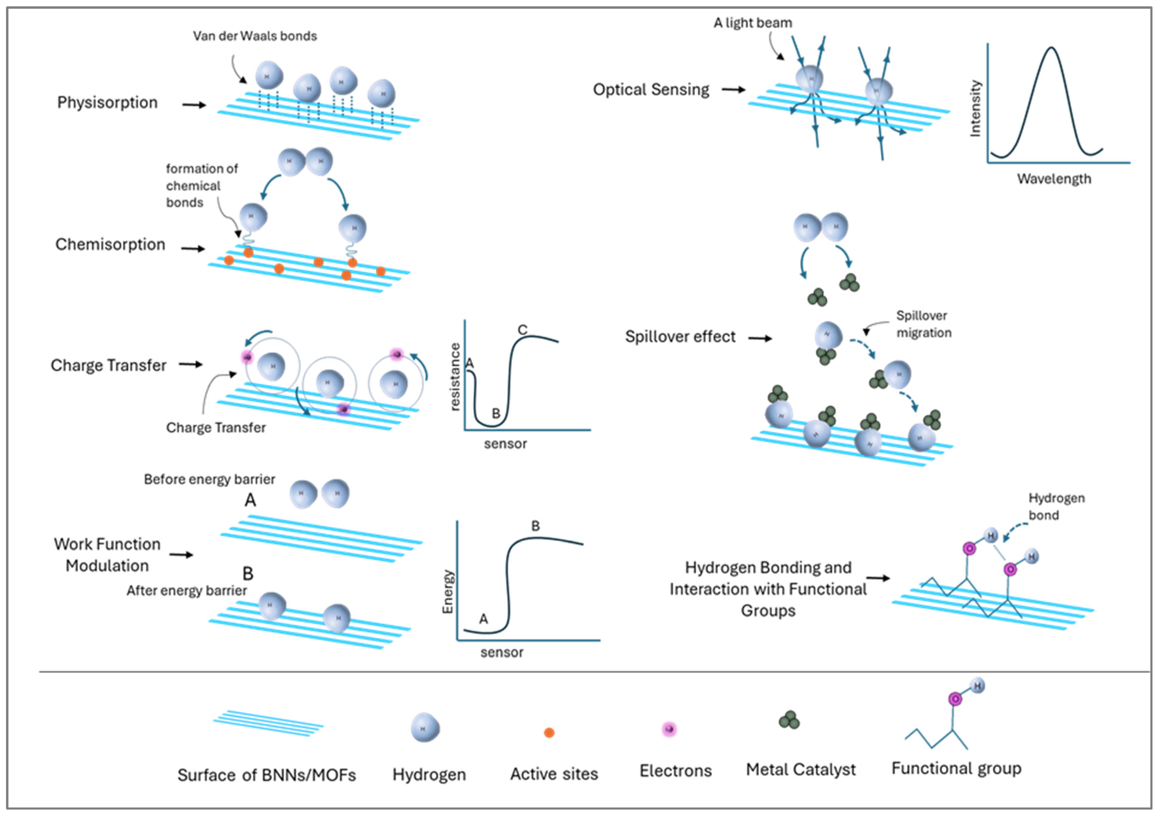 Analytica 05 00040 g003