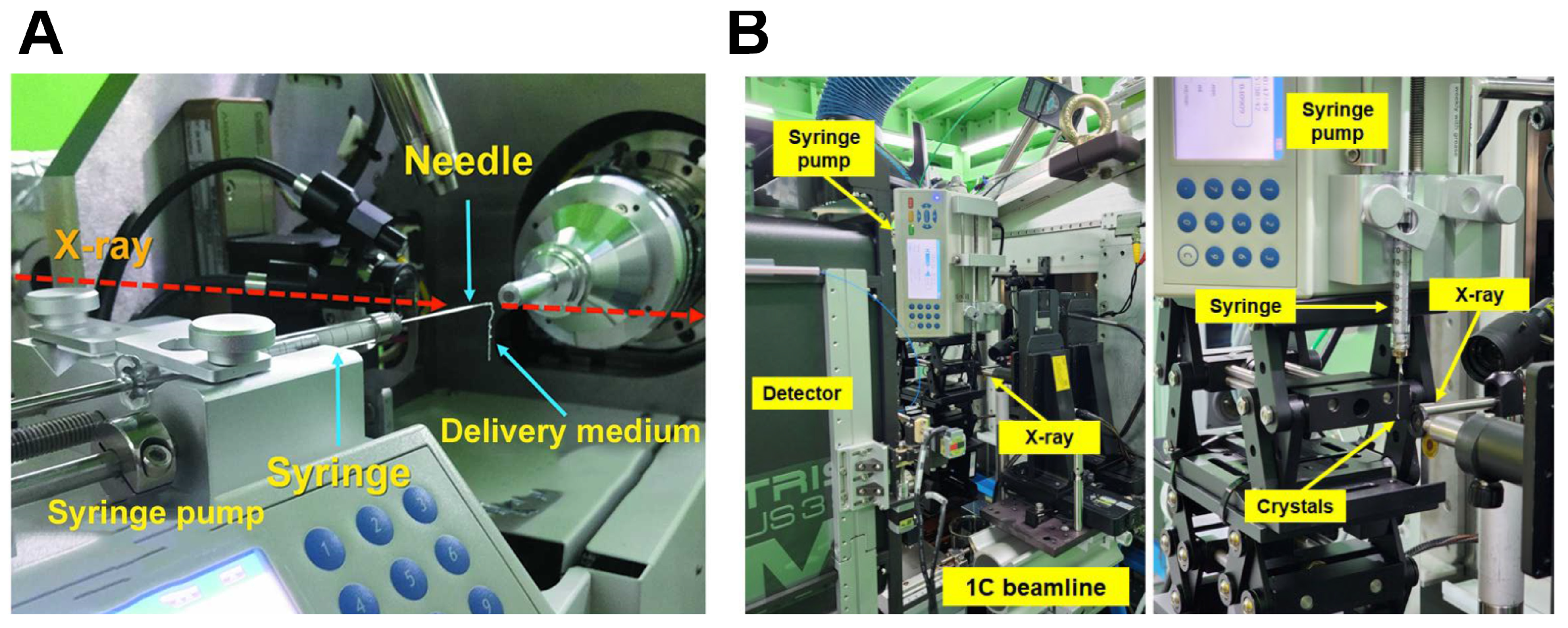 Analytica 06 00005 g004