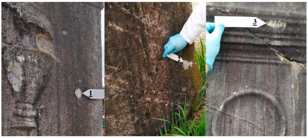 Analytica 06 00011 g003