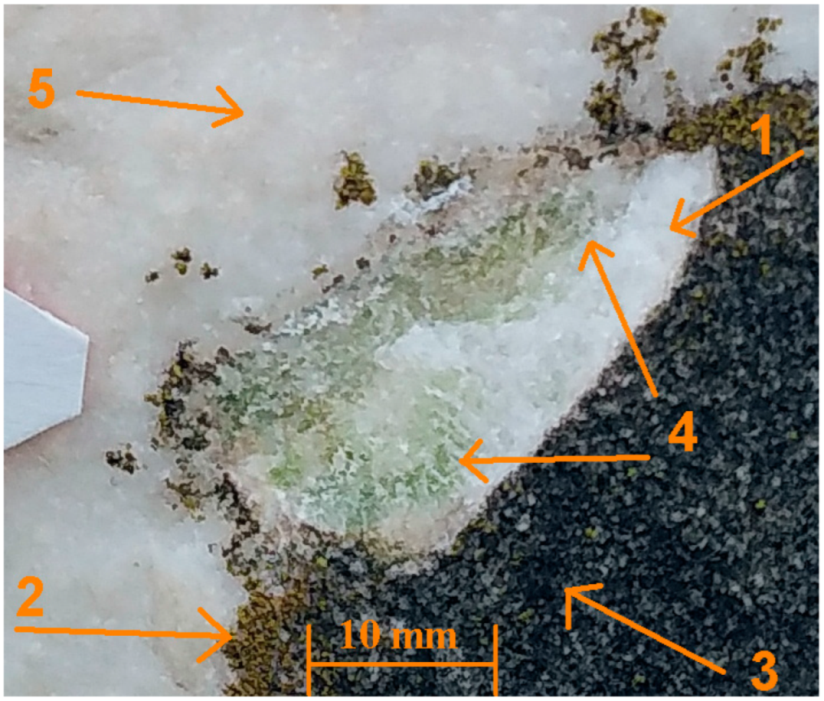 Analytica 06 00011 g009