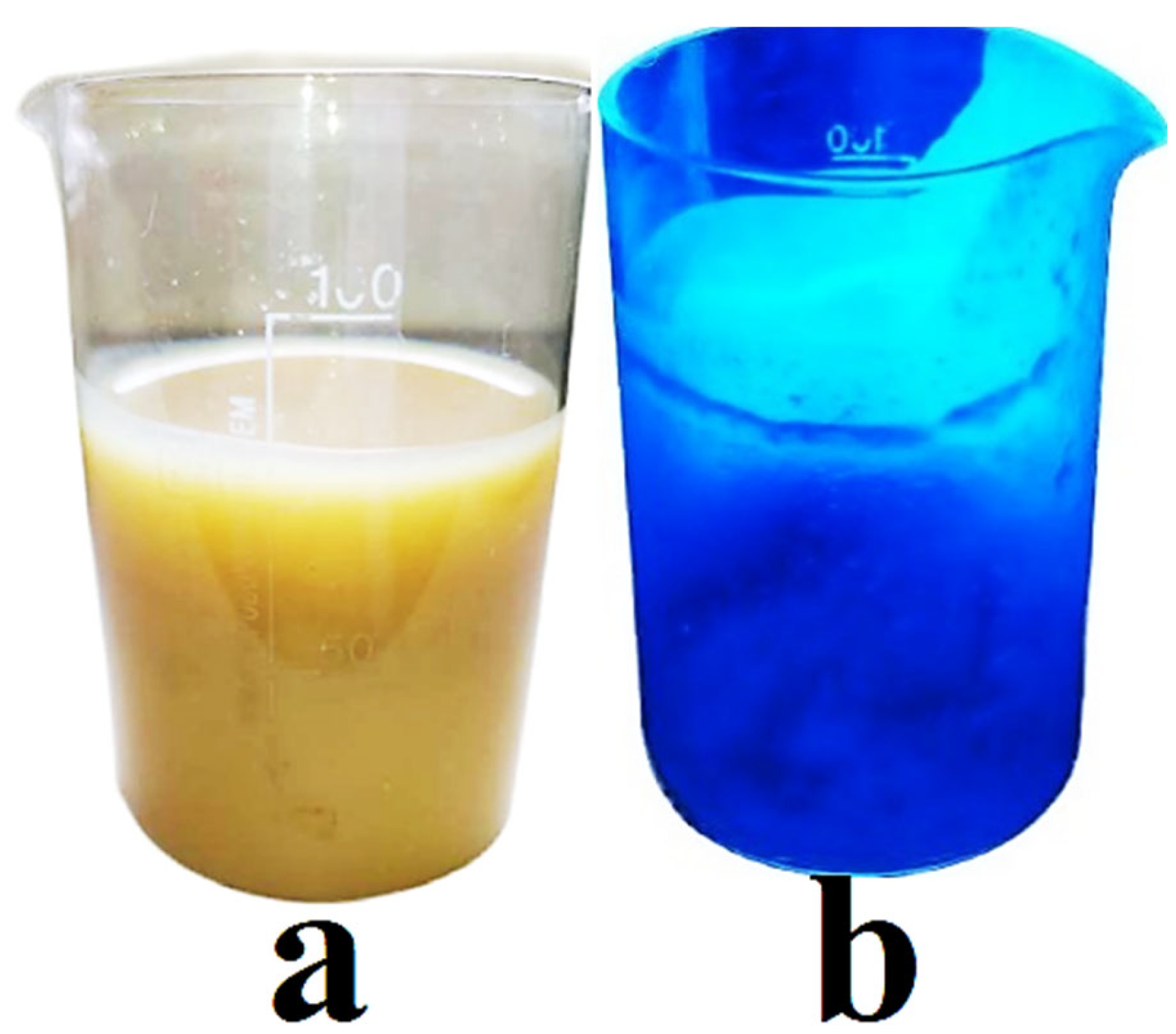 Analytica 06 00028 g003