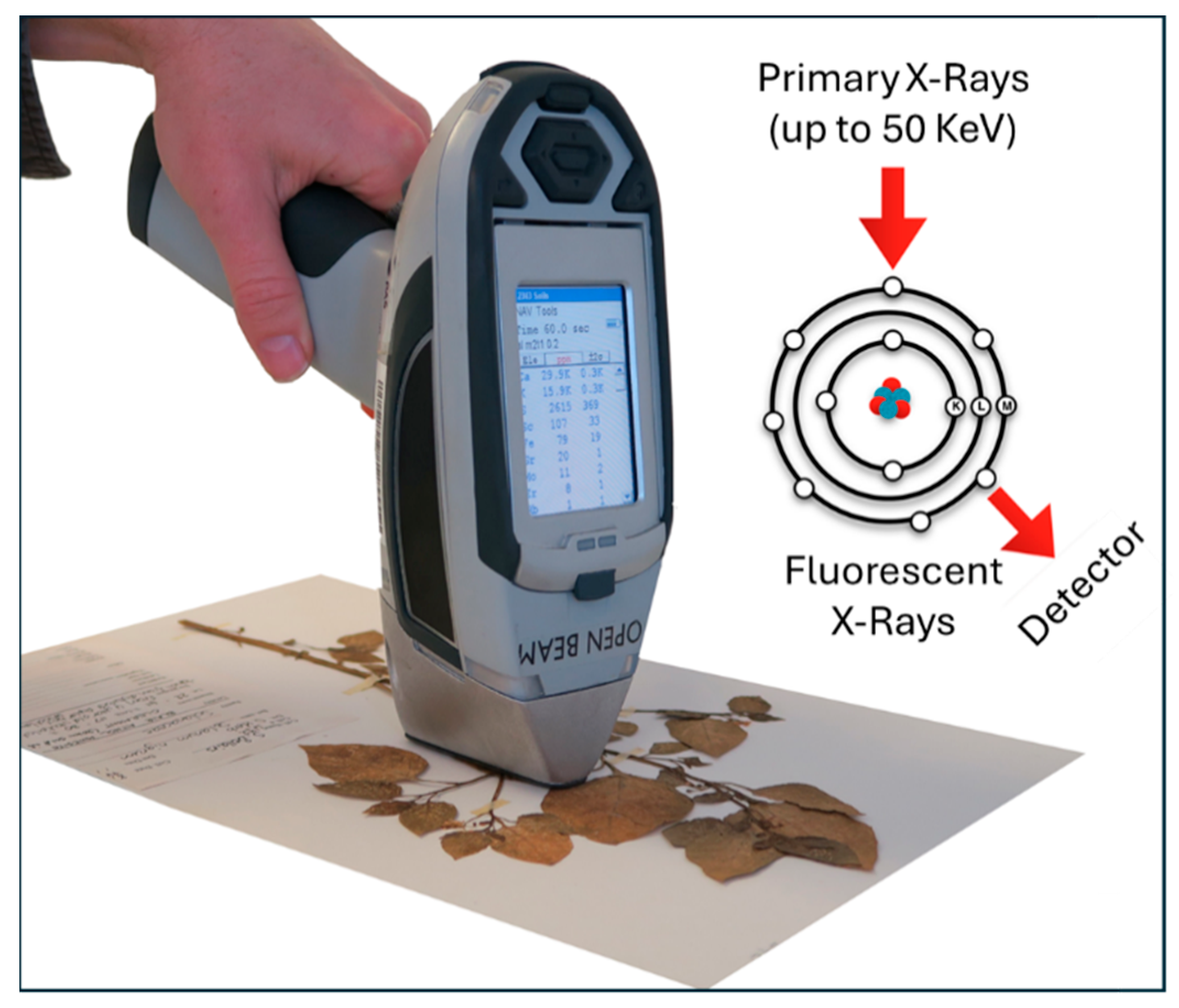 Analytica 06 00035 g010 Analytica 06 00035 g010
