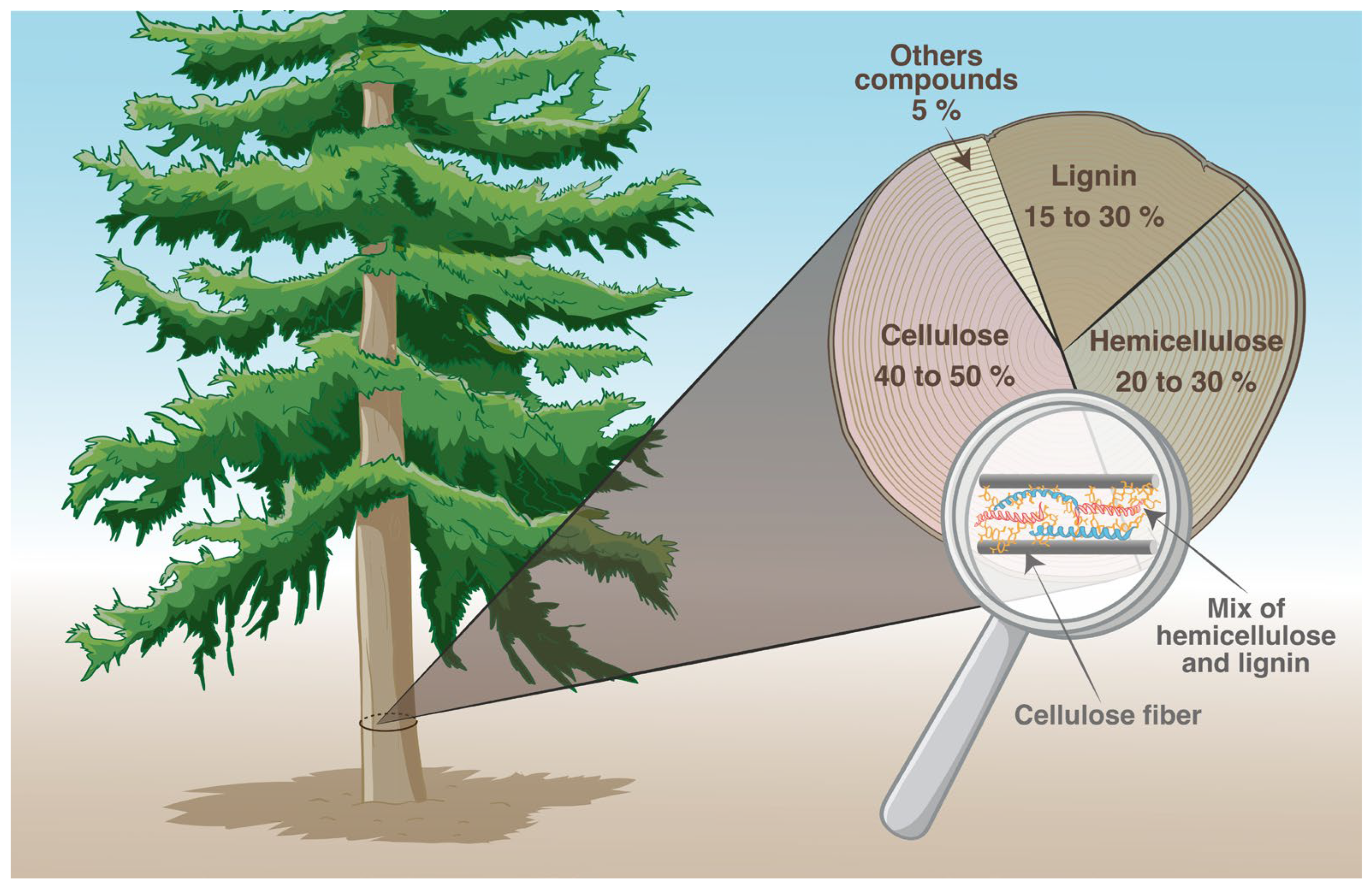 Analytica 06 00041 g001 Analytica 06 00041 g001