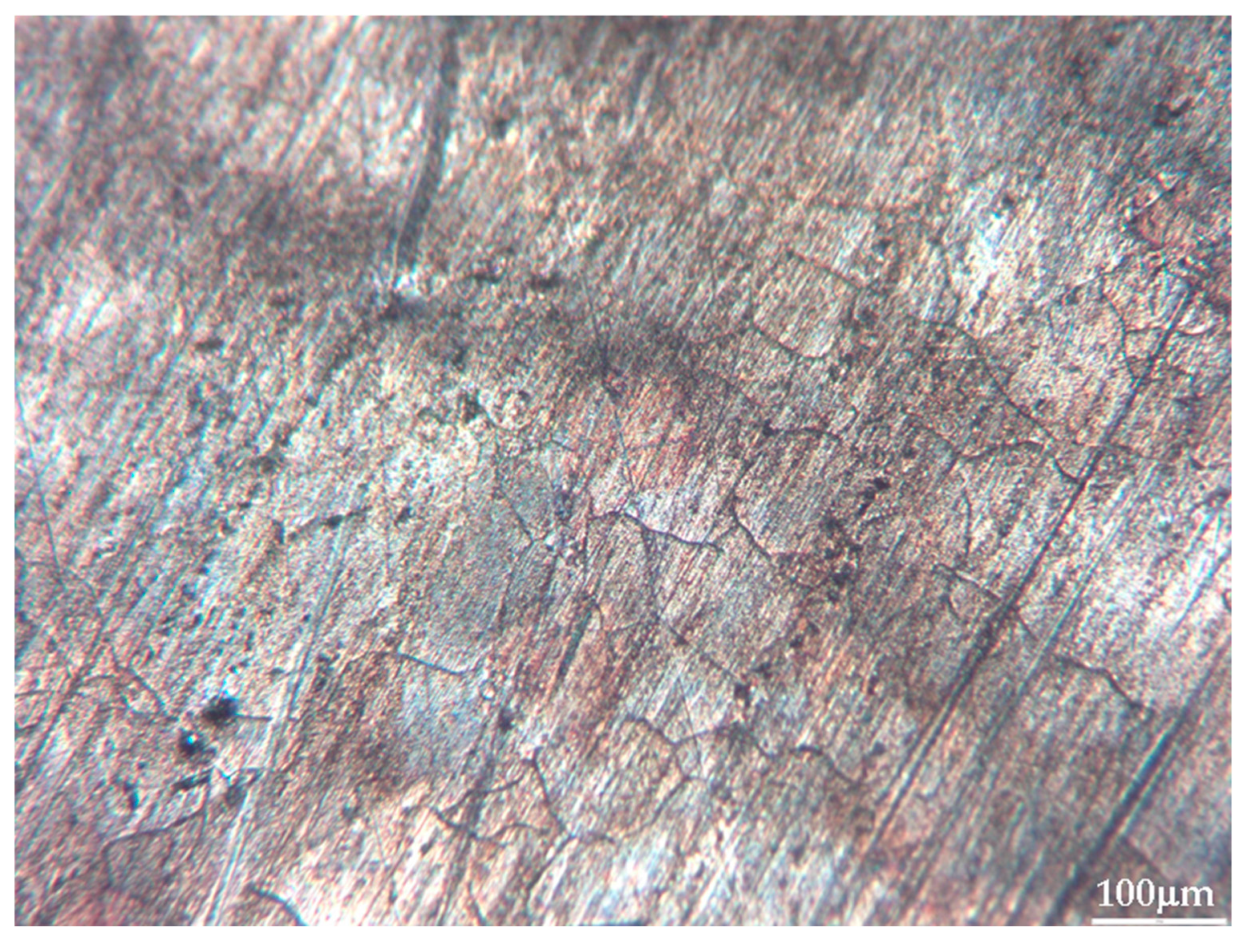 Analytica 06 00055 g004