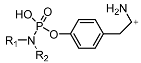Analytica 07 00025 i005