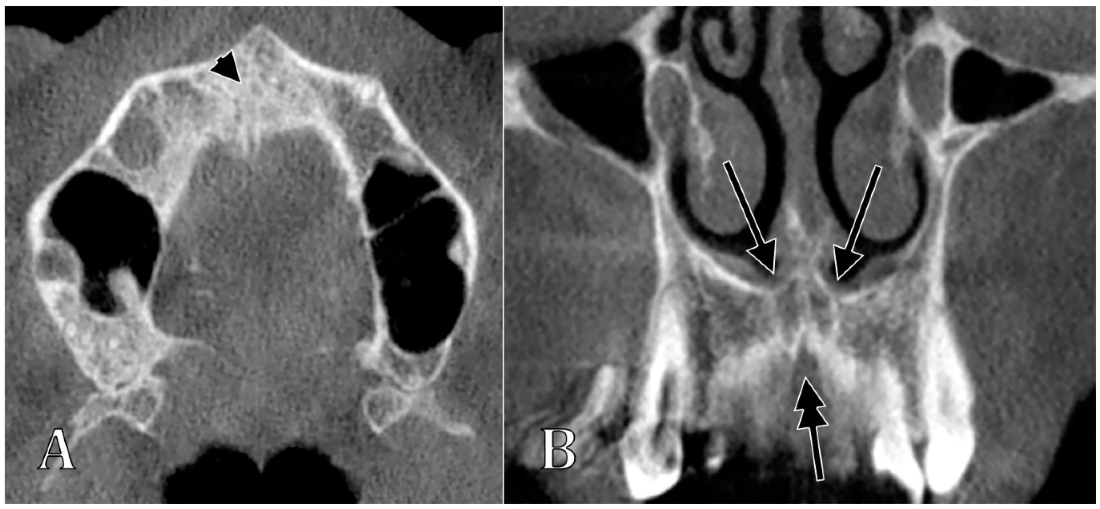 Anatomia 01 00008 g006