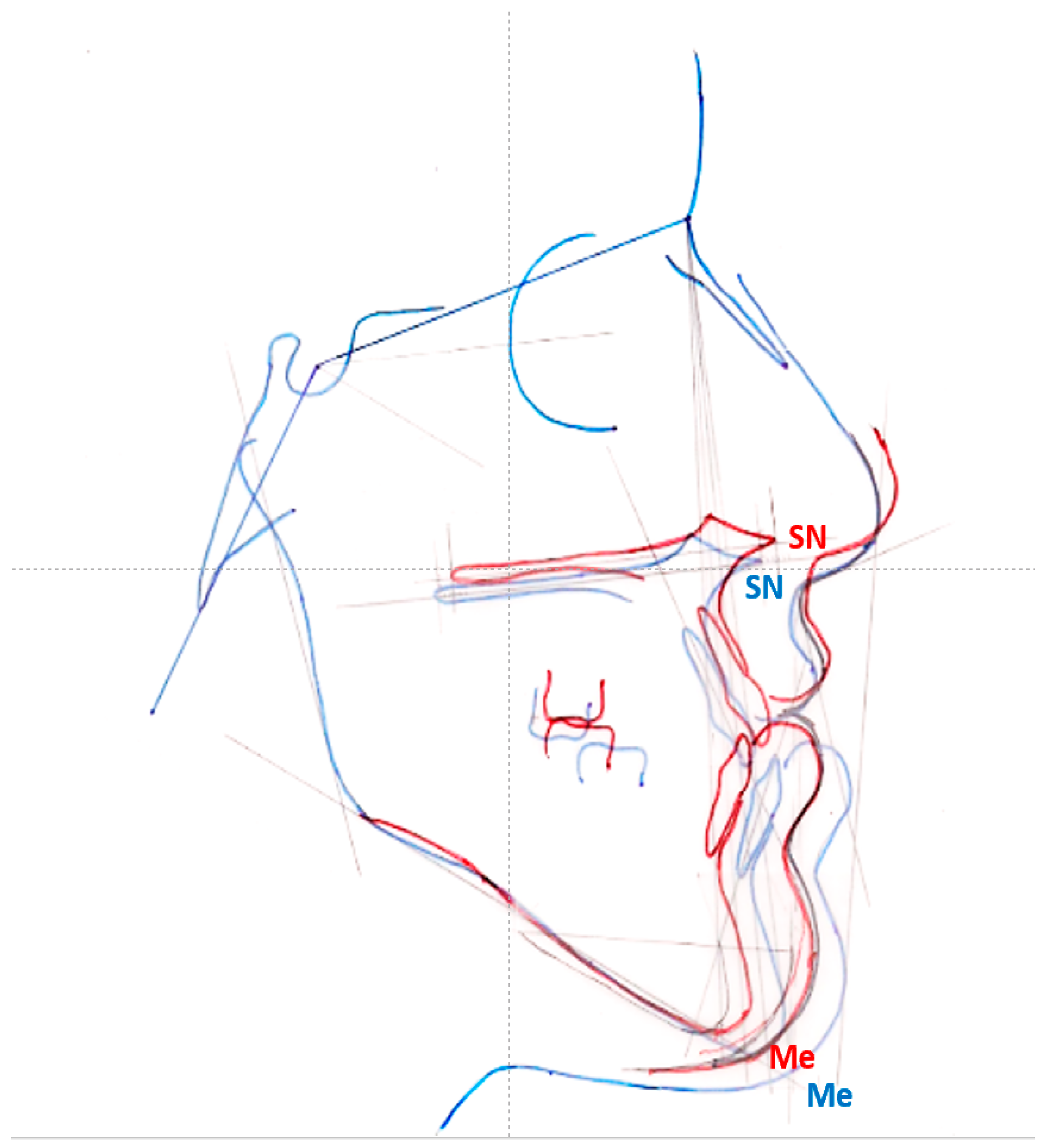 Anatomia 01 00017 g001