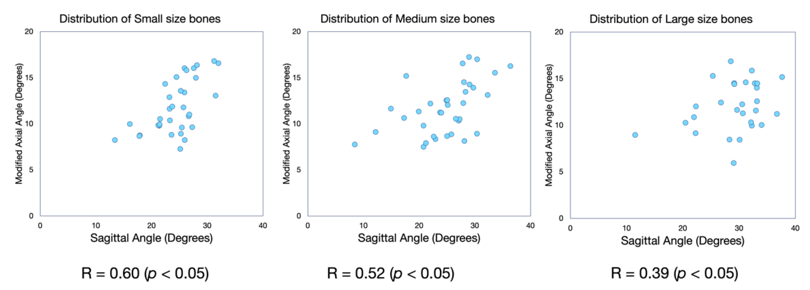 Anatomia 01 00018 g008