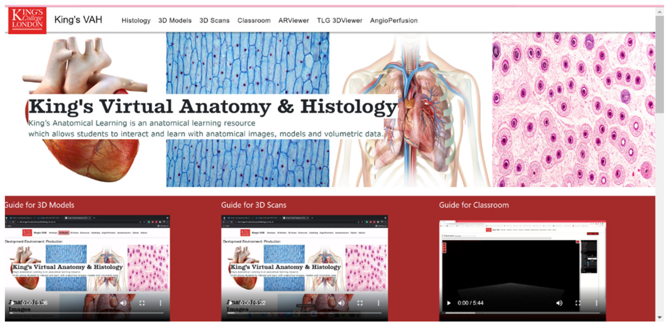 Anatomia 02 00008 g003