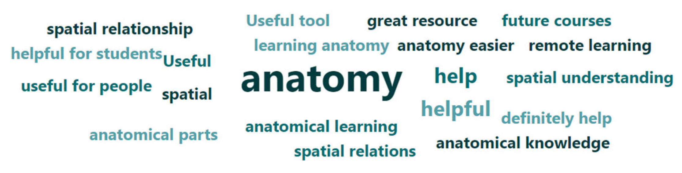 Anatomia 02 00008 g008