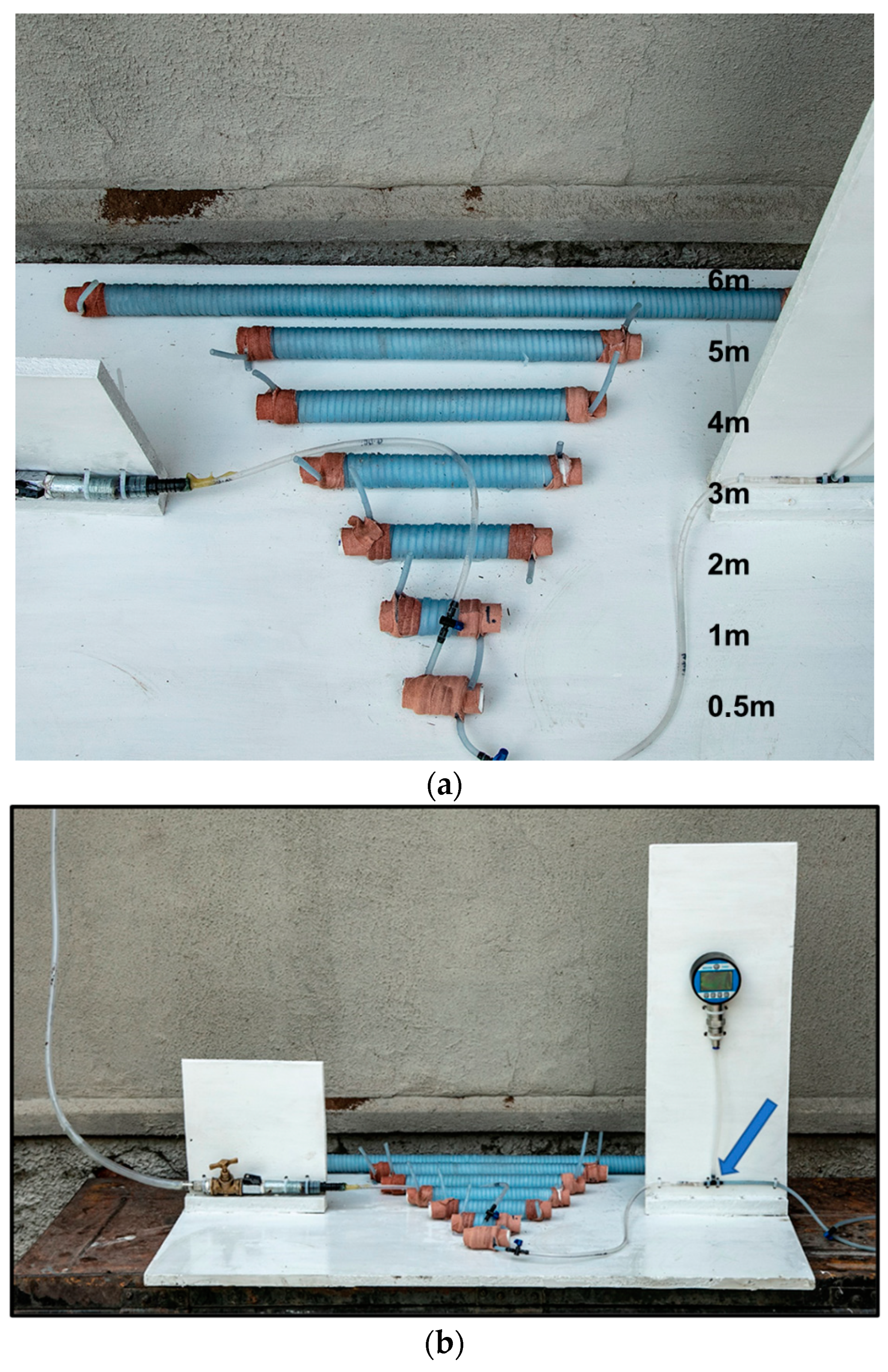 Anatomia 02 00013 g001 Anatomia 02 00013 g001