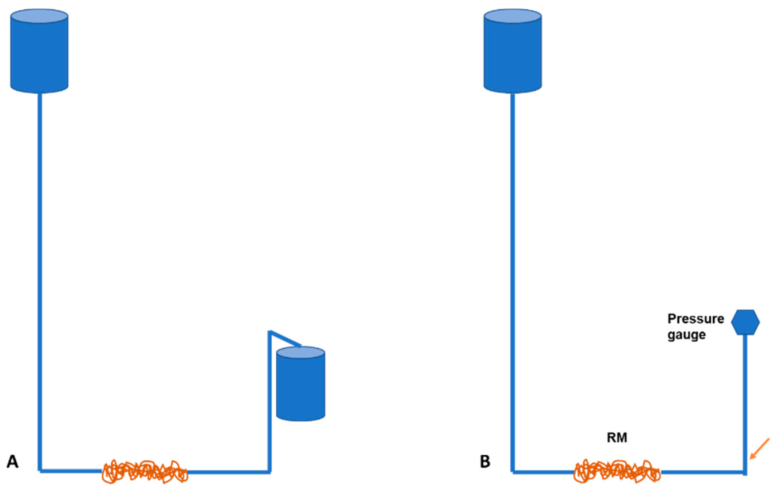 Anatomia 02 00013 g002 Anatomia 02 00013 g002