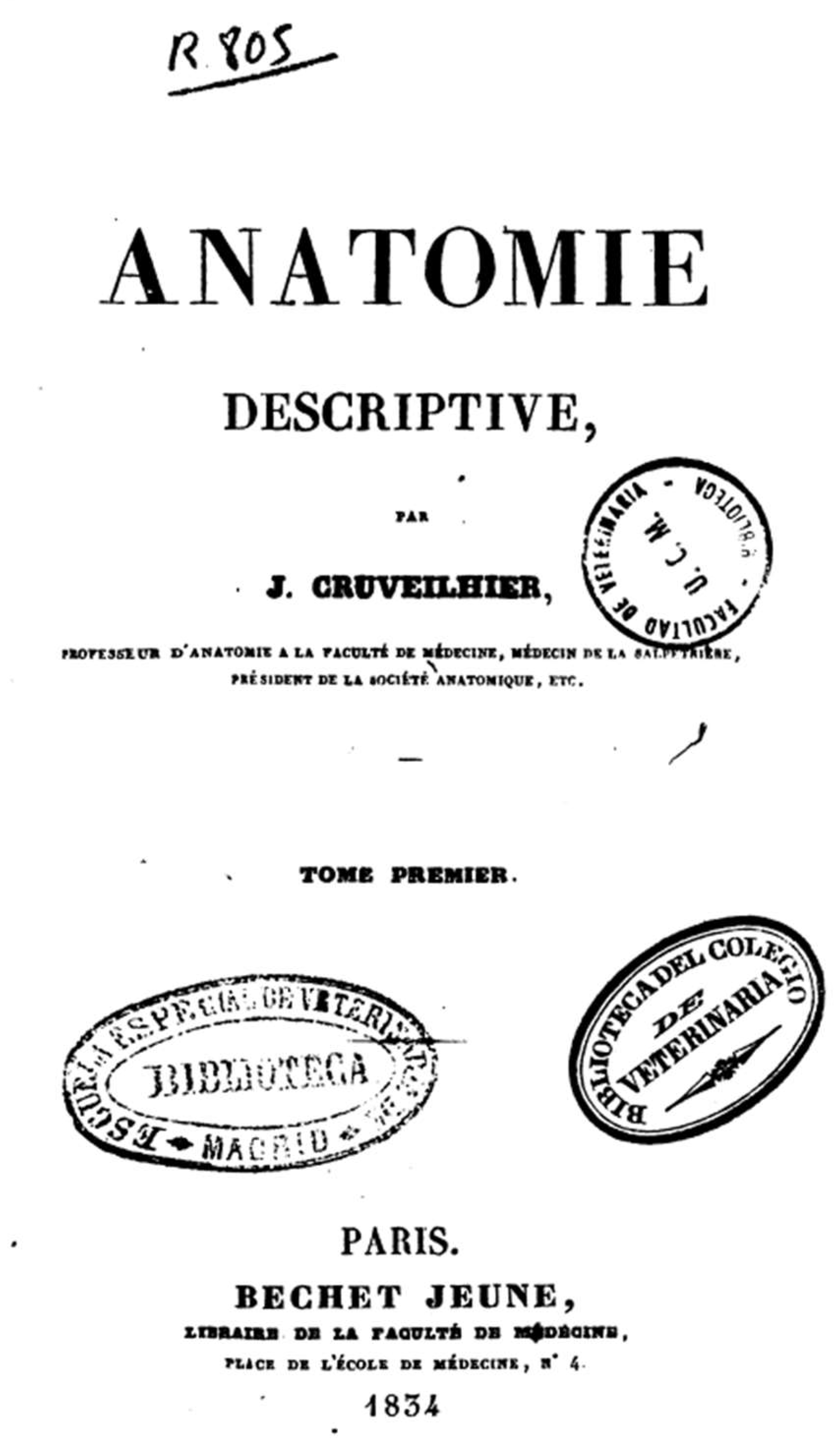 Anatomia 02 00019 g003