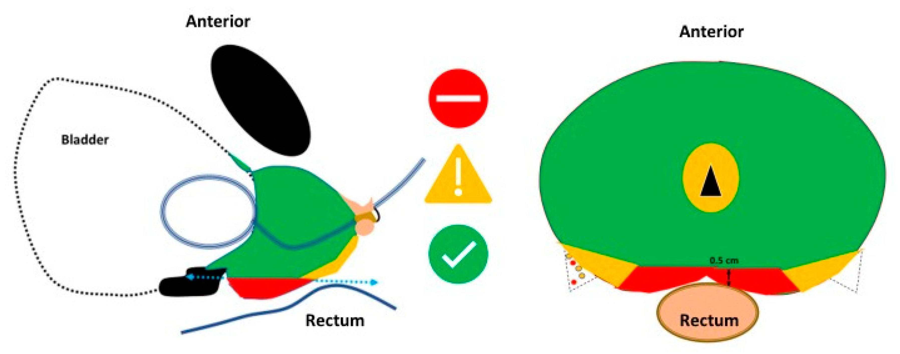 Anatomia 02 00021 g006 Anatomia 02 00021 g006