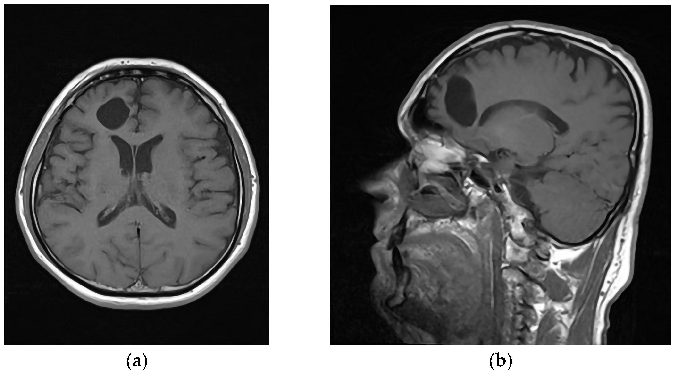Anatomia 02 00022 g003 Anatomia 02 00022 g003