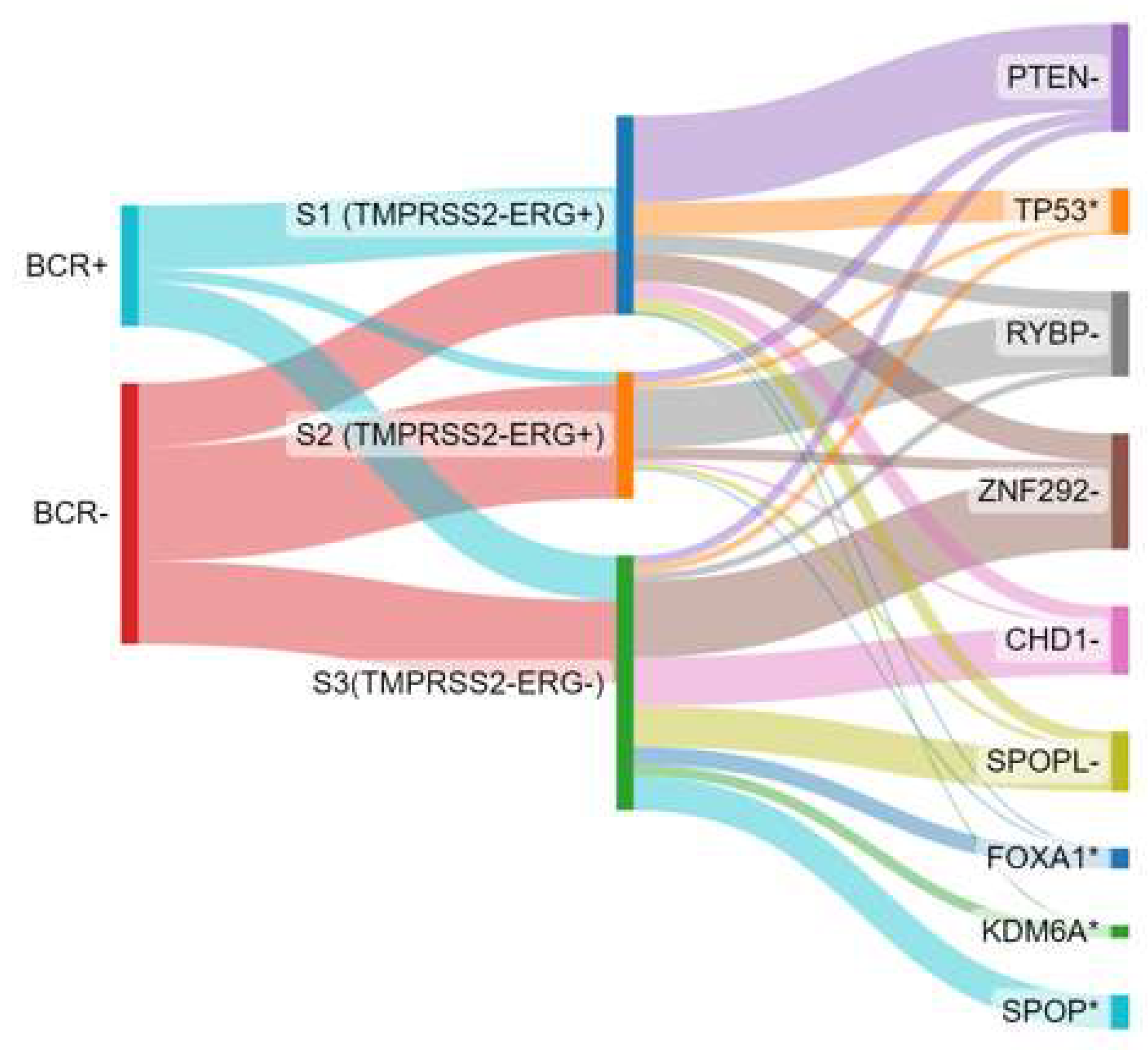 Anatomia 02 00027 g005