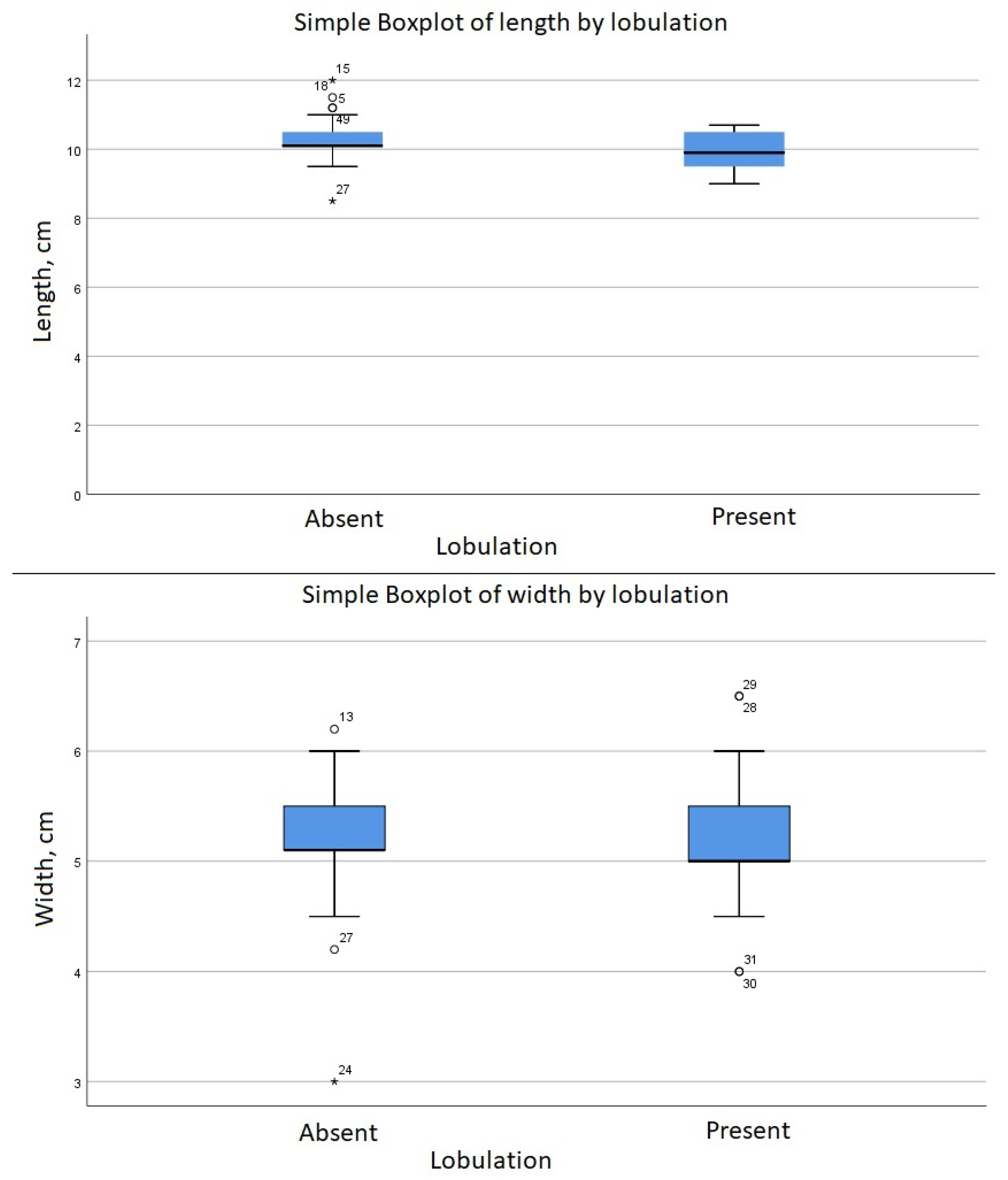 Anatomia 02 00030 g003