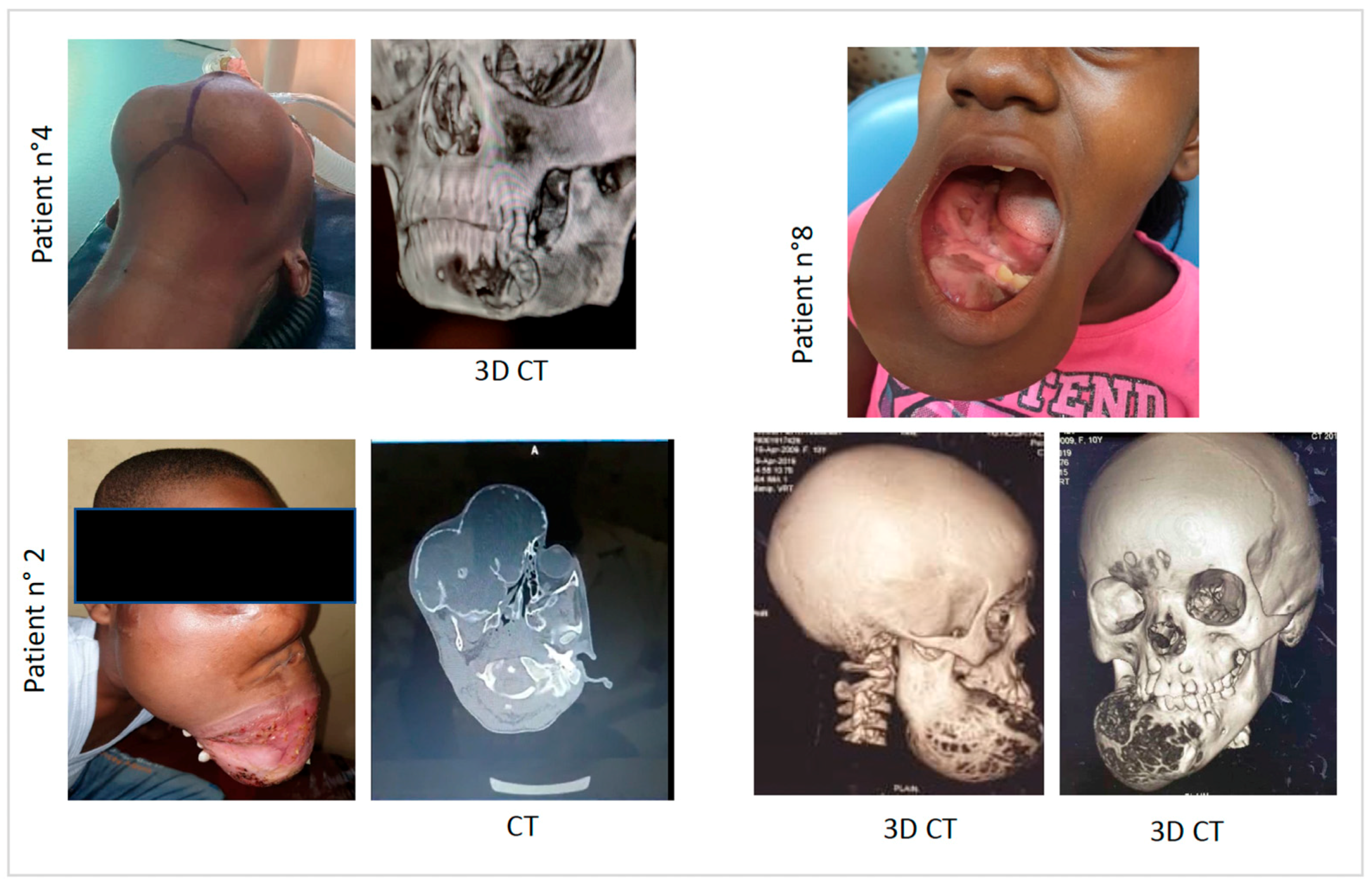 Anatomia 03 00006 g002