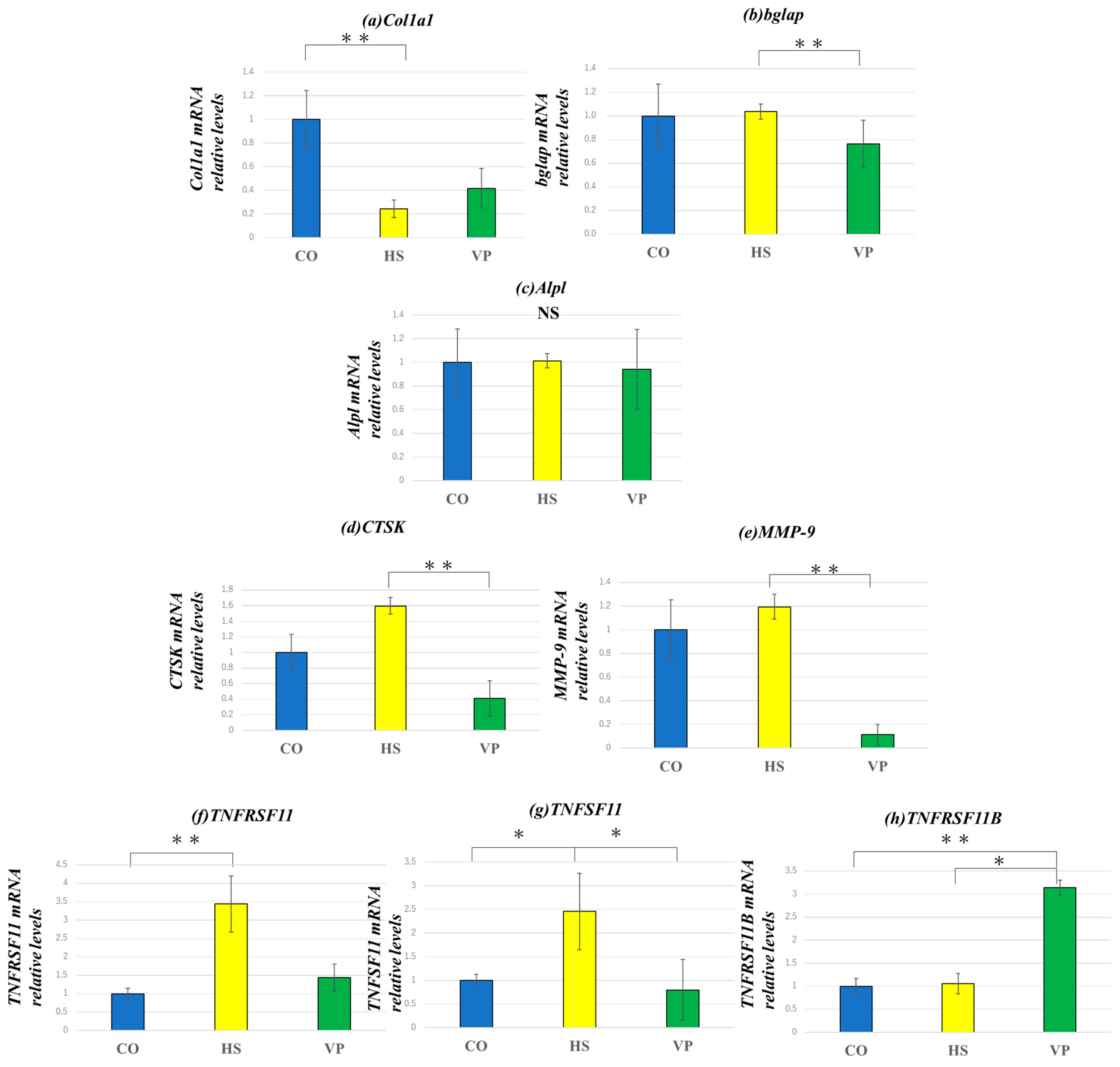 Anatomia 03 00023 g022