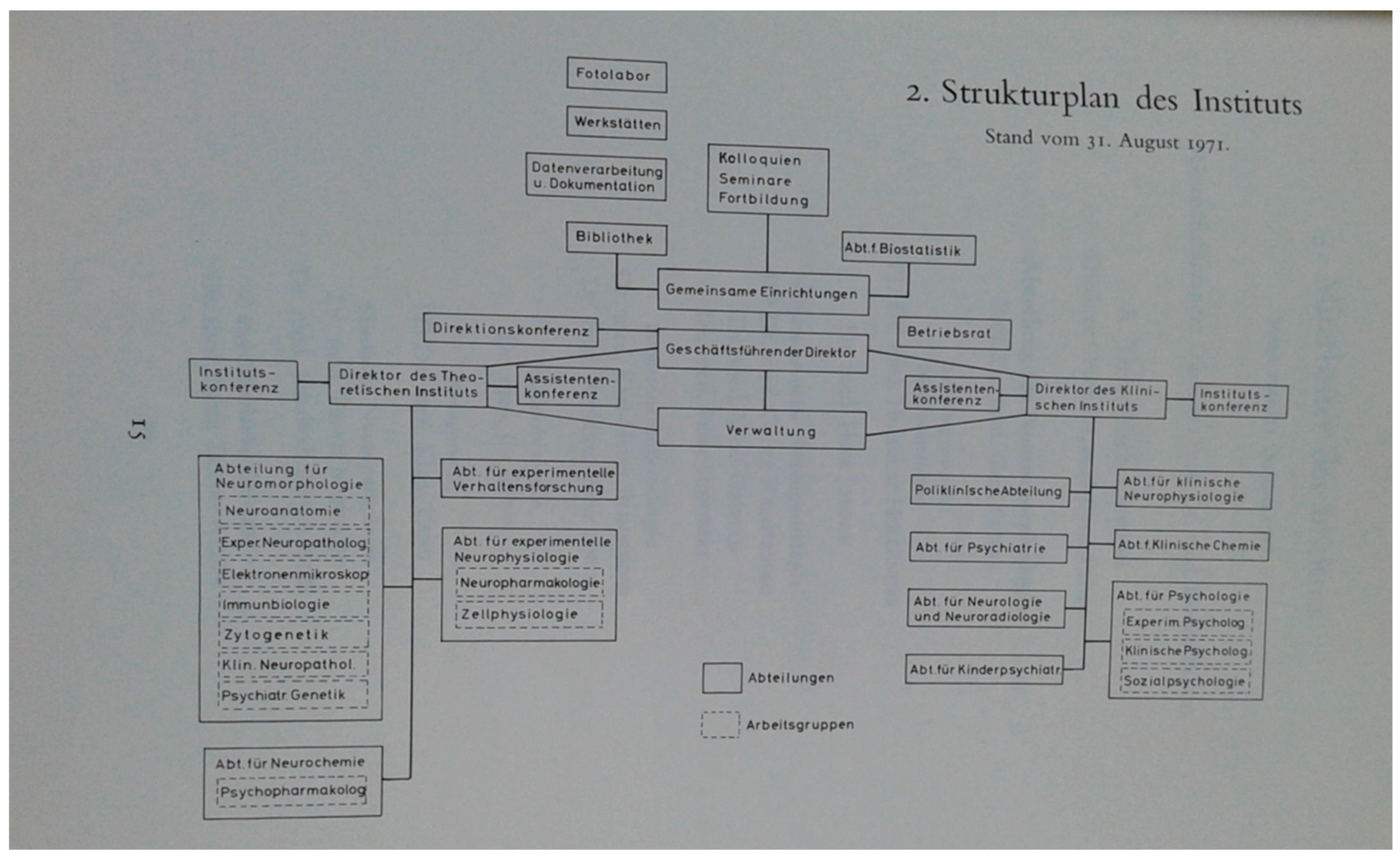 Anatomia 03 00024 g003