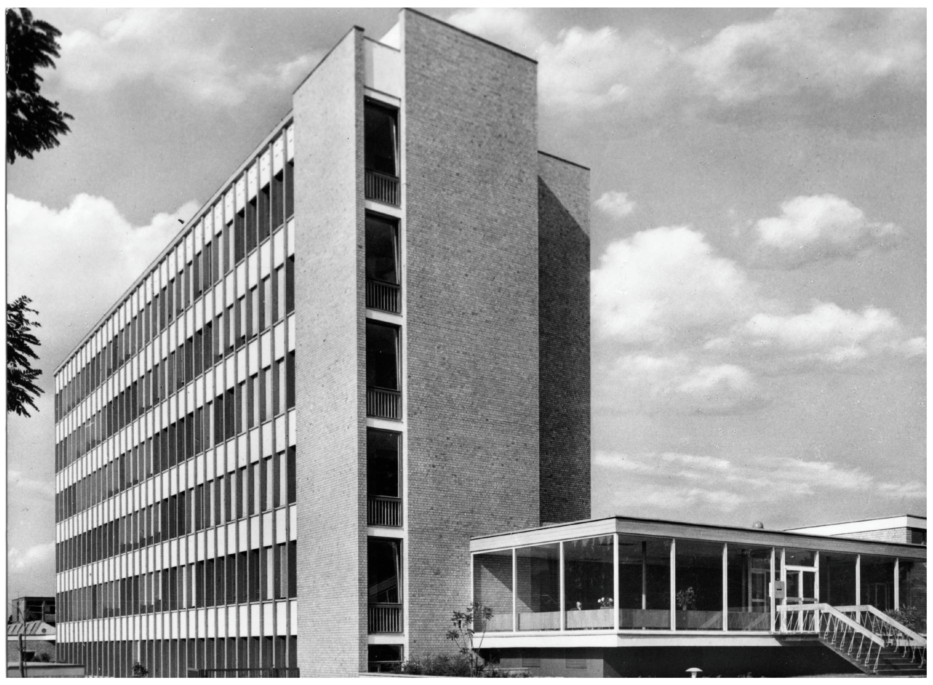 Anatomia 03 00024 g004