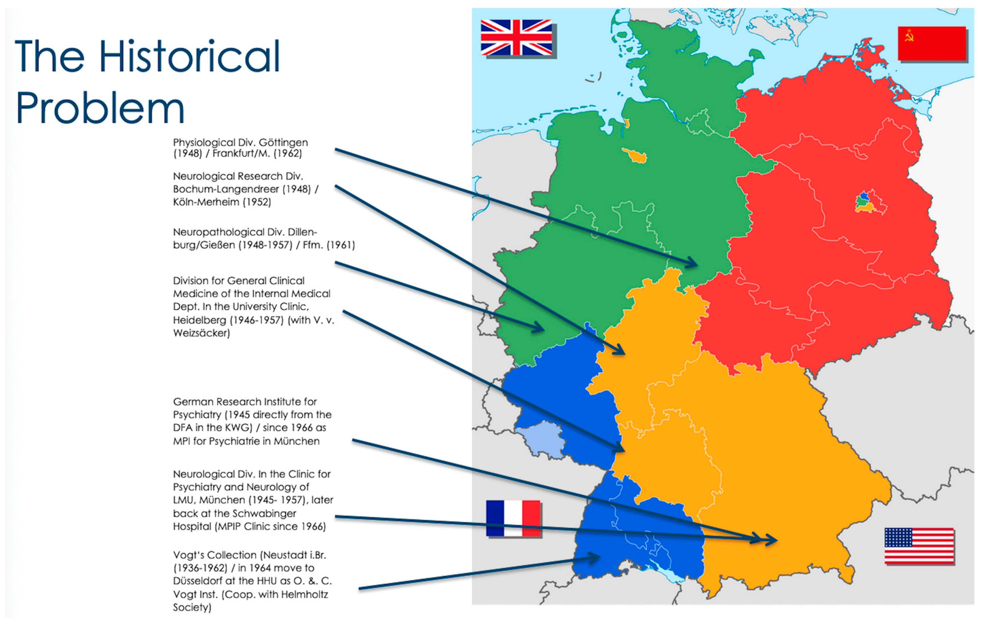 Anatomia 03 00024 g005