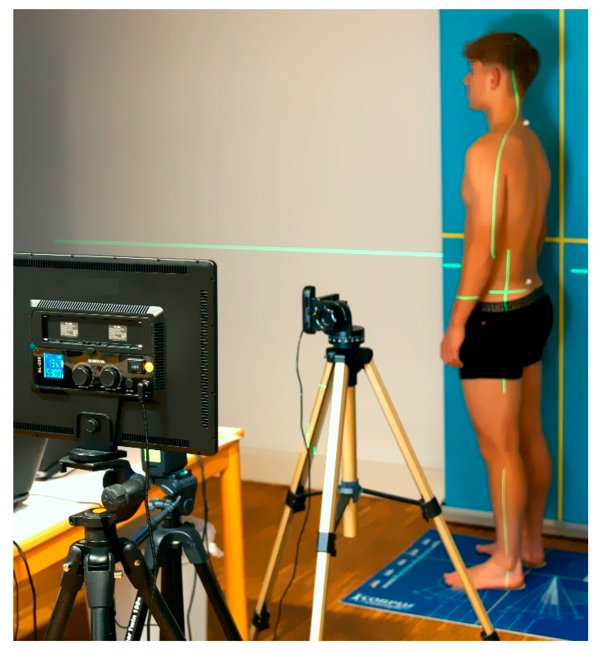 Anatomia 04 00005 g003