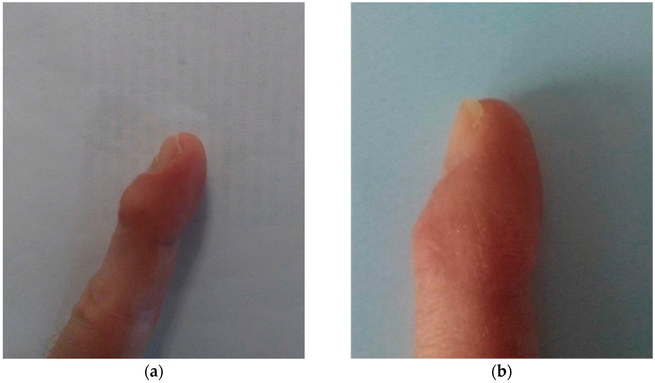 Anesthres 01 00008 g001