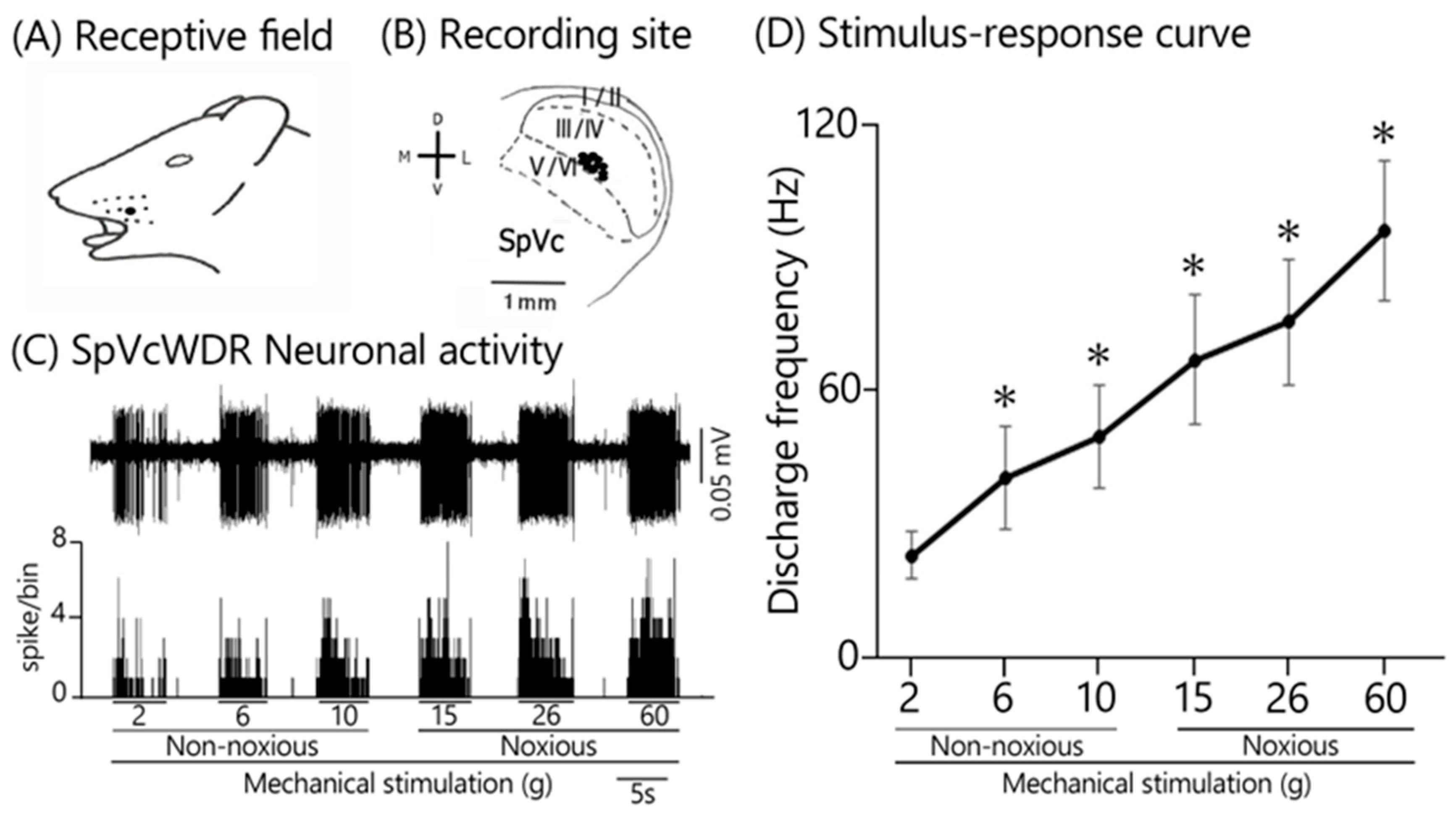 Anesthres 01 00012 g001