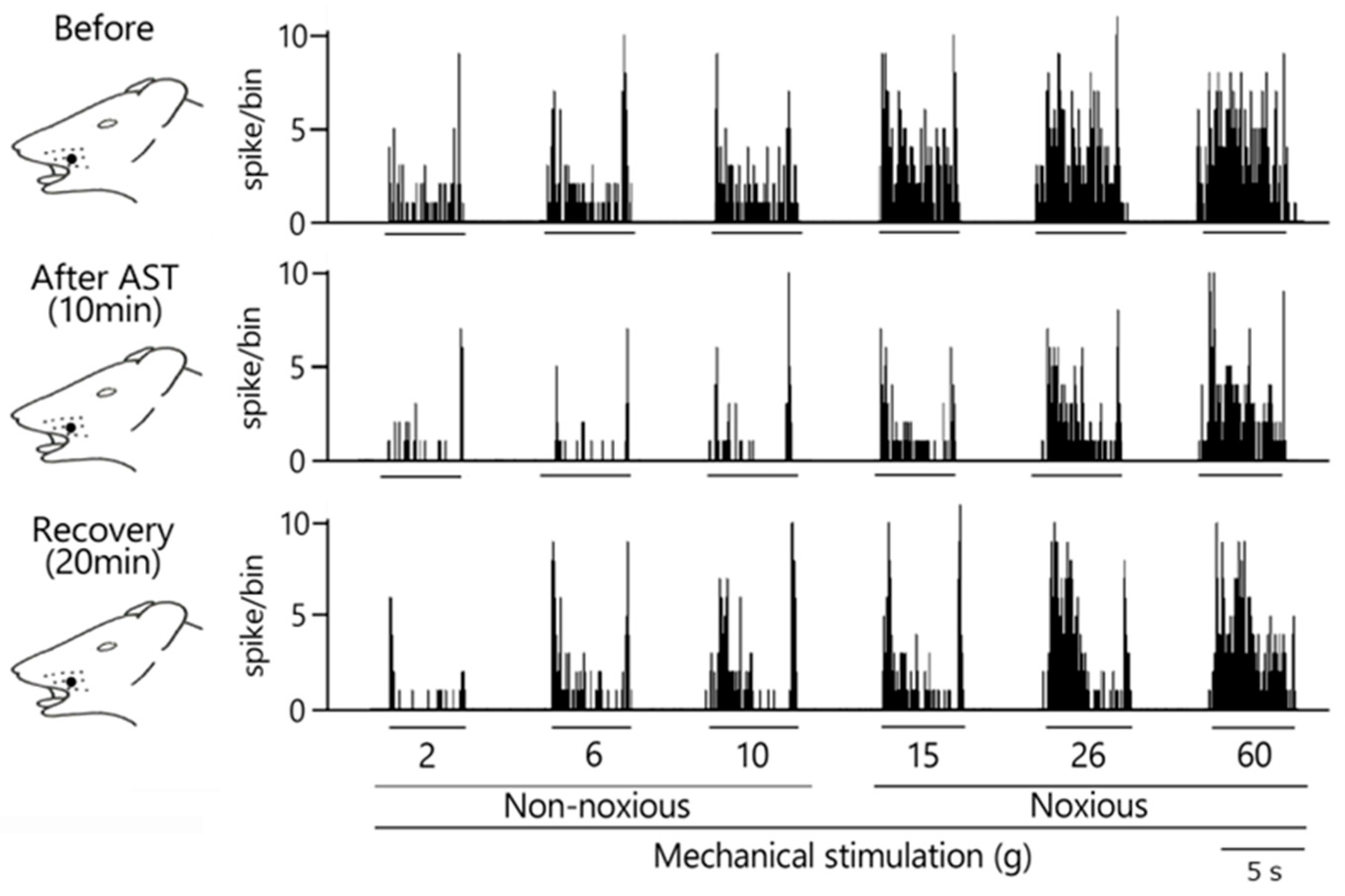 Anesthres 01 00012 g002
