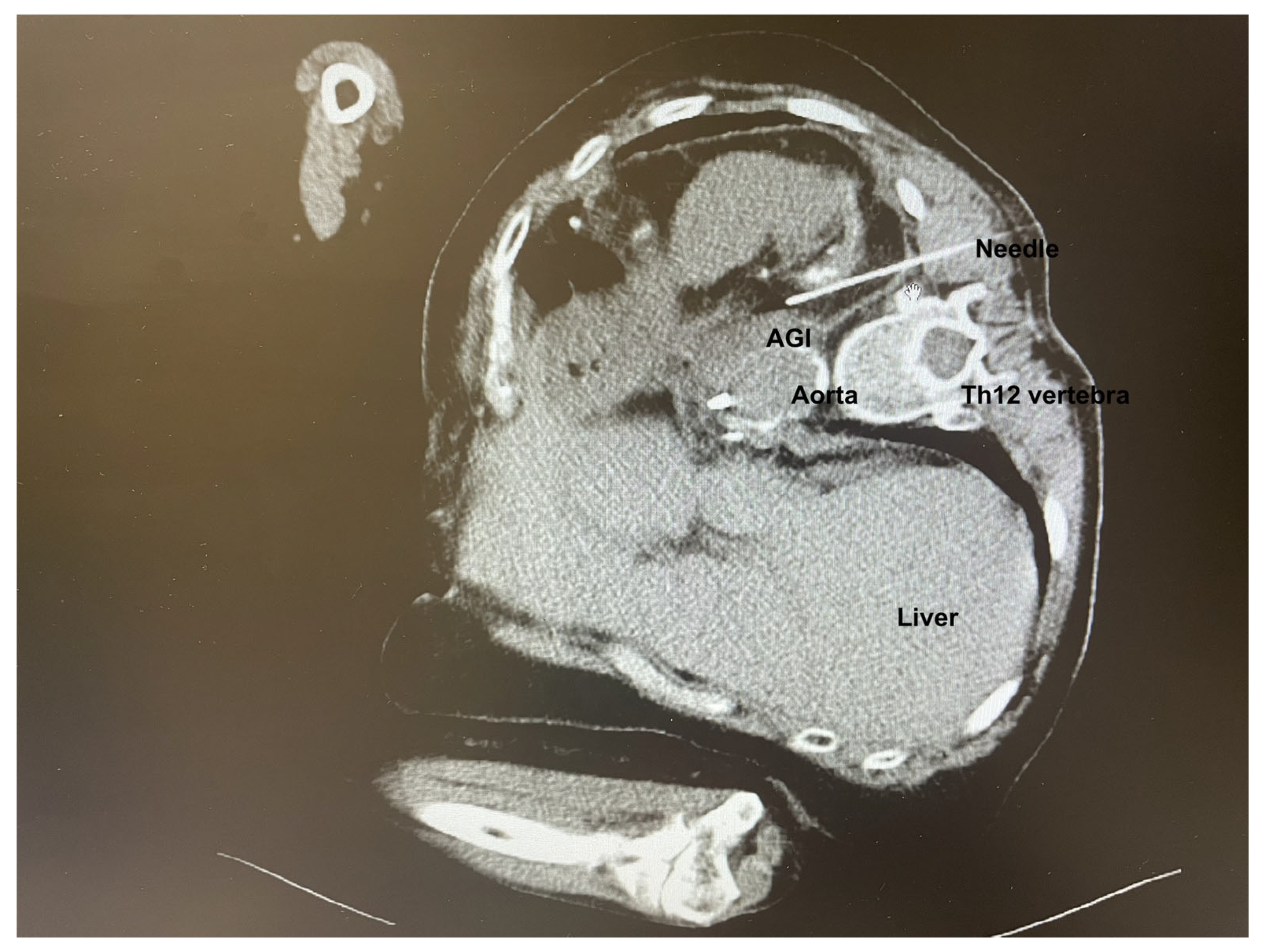 Anesthres 02 00013 g001