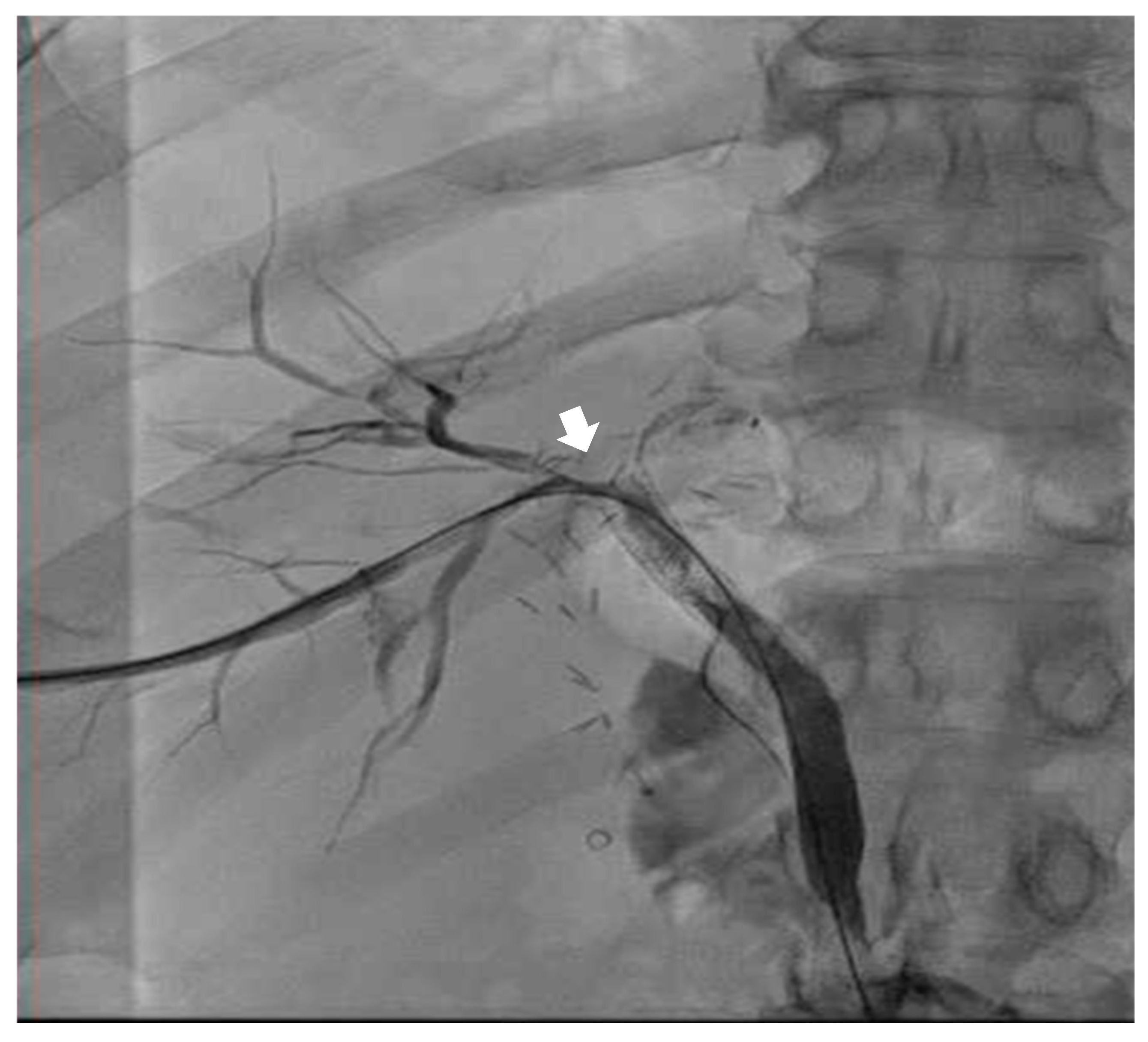 Anesthres 02 00017 g003