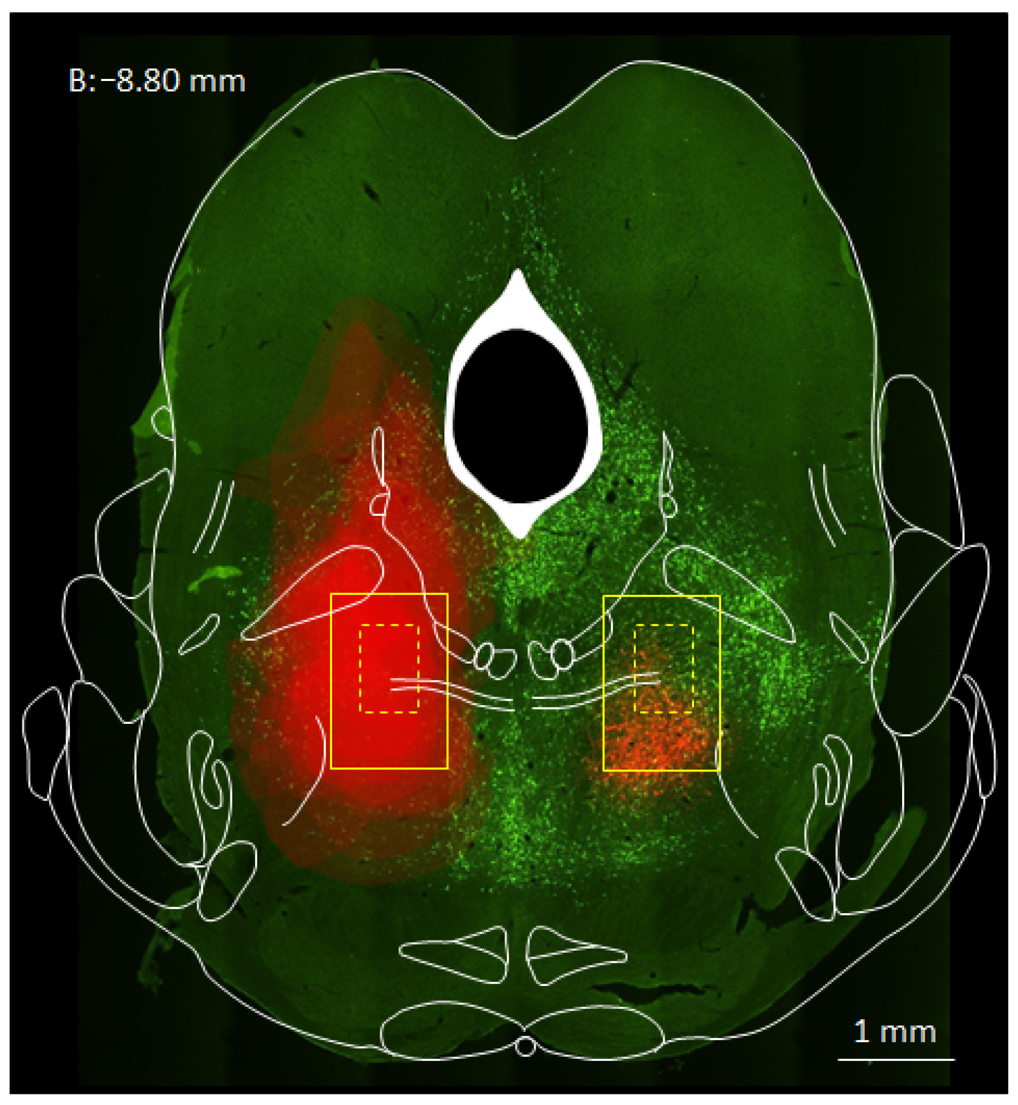 Anesthres 02 00026 g001