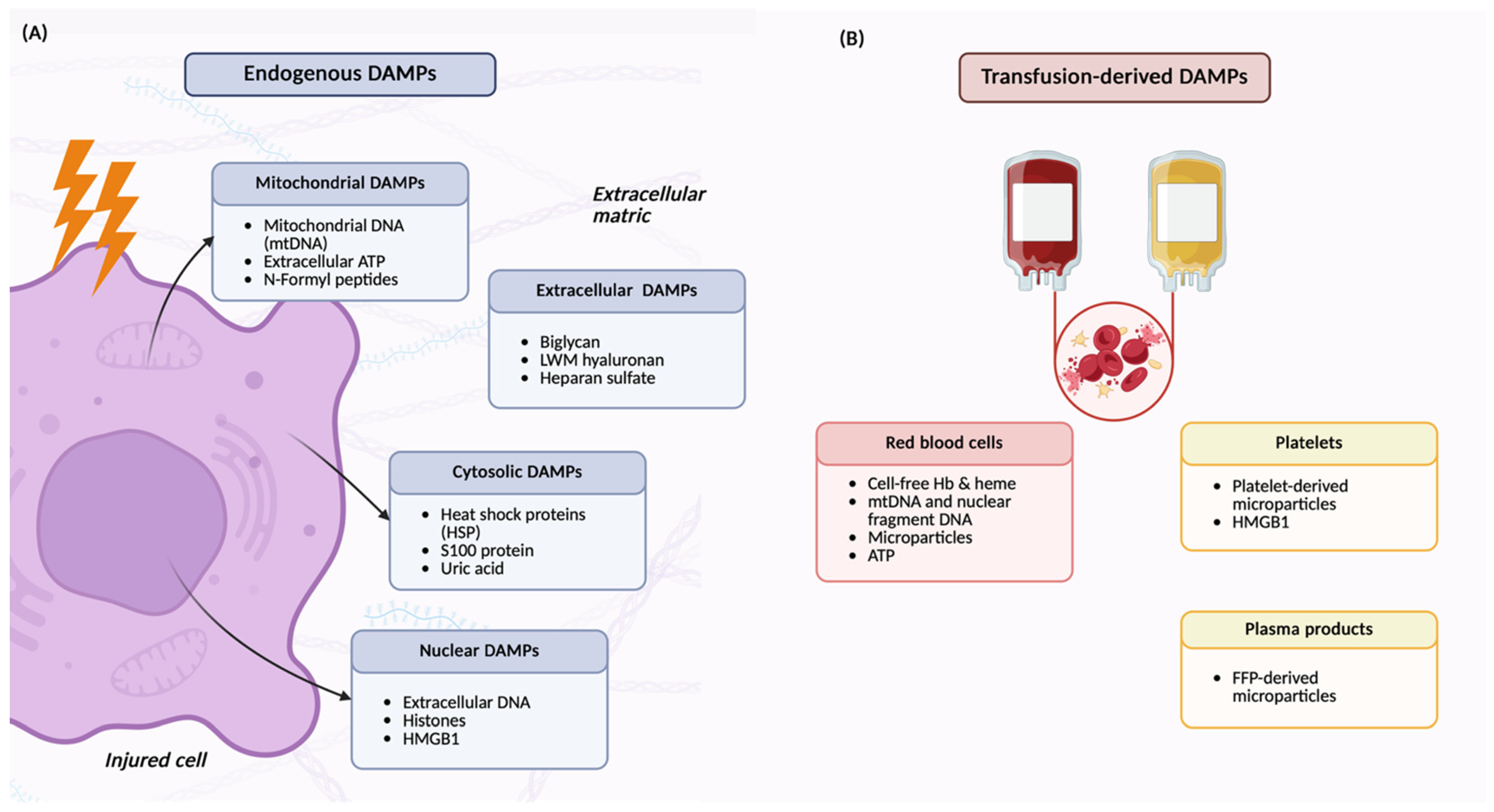 Anesthres 03 00001 g001