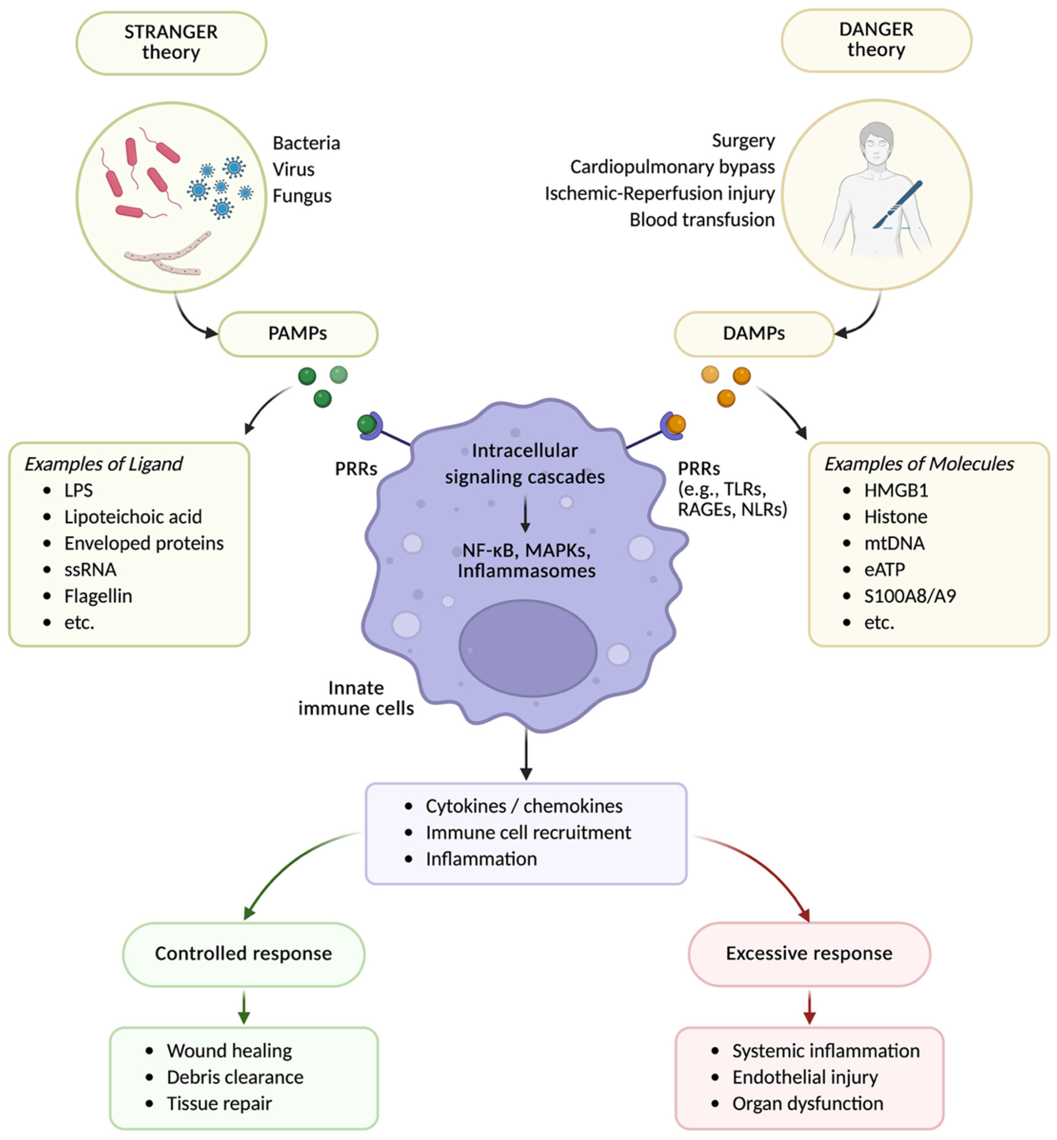 Anesthres 03 00001 g002