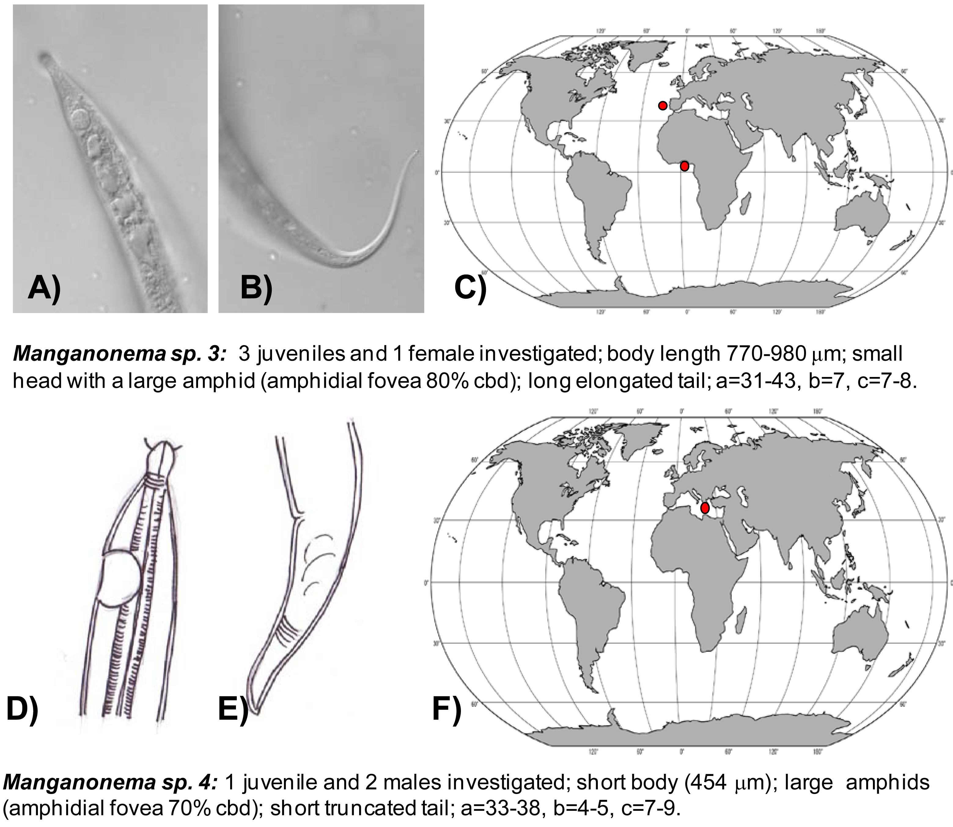 Animals 01 00291 g005 1024