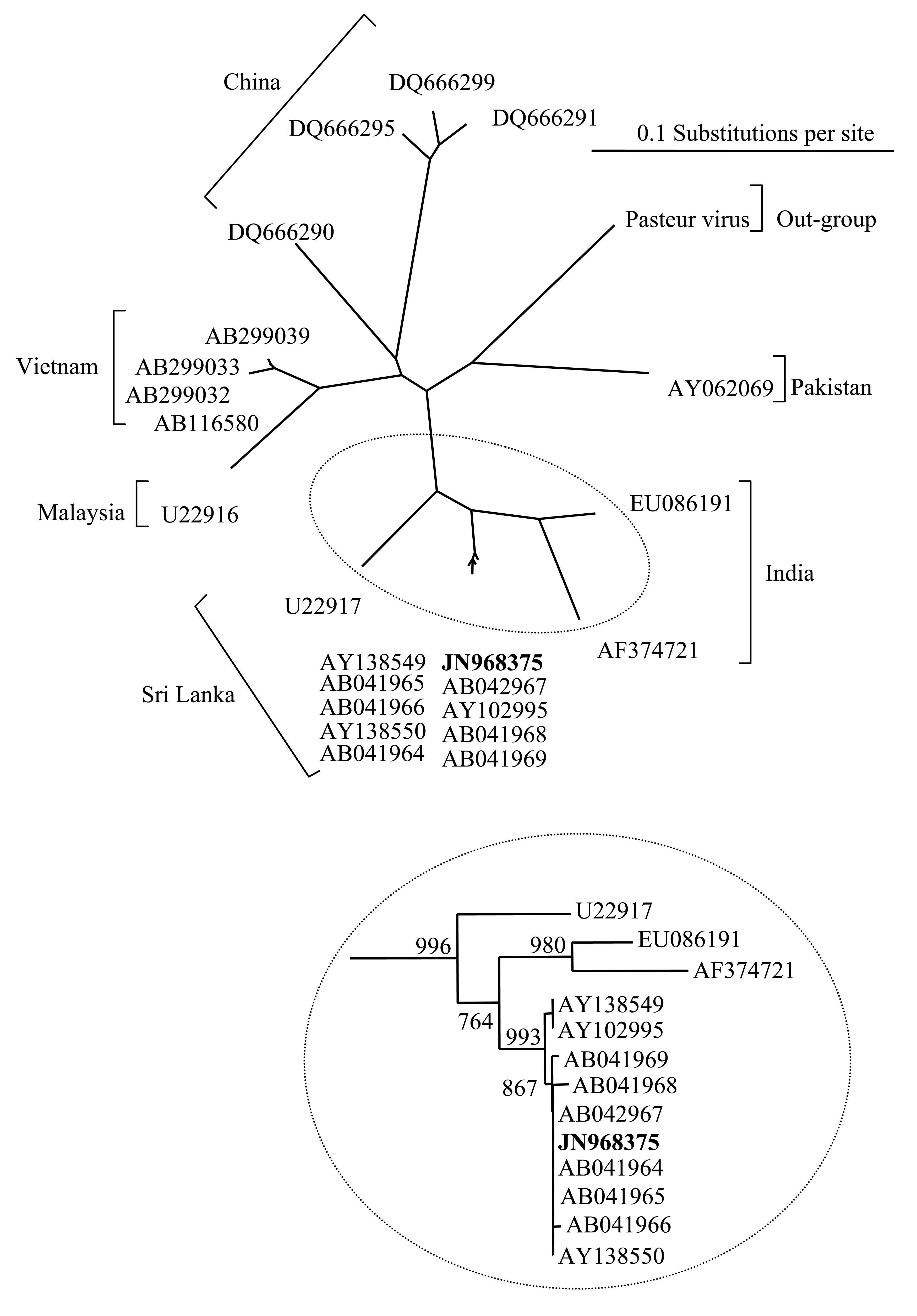 Animals 01 00402f1 1024