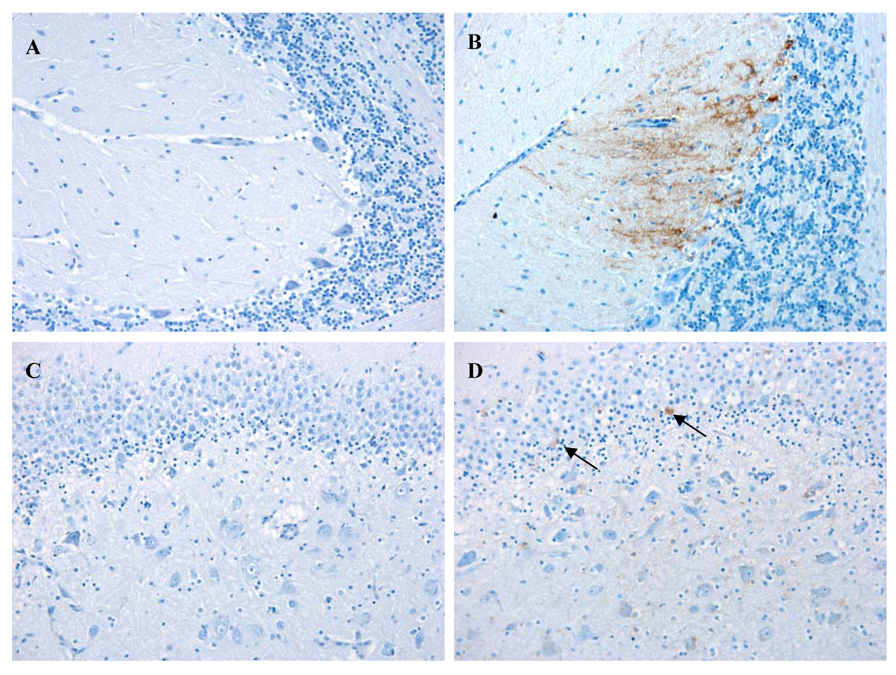 Animals 01 00402f3 1024